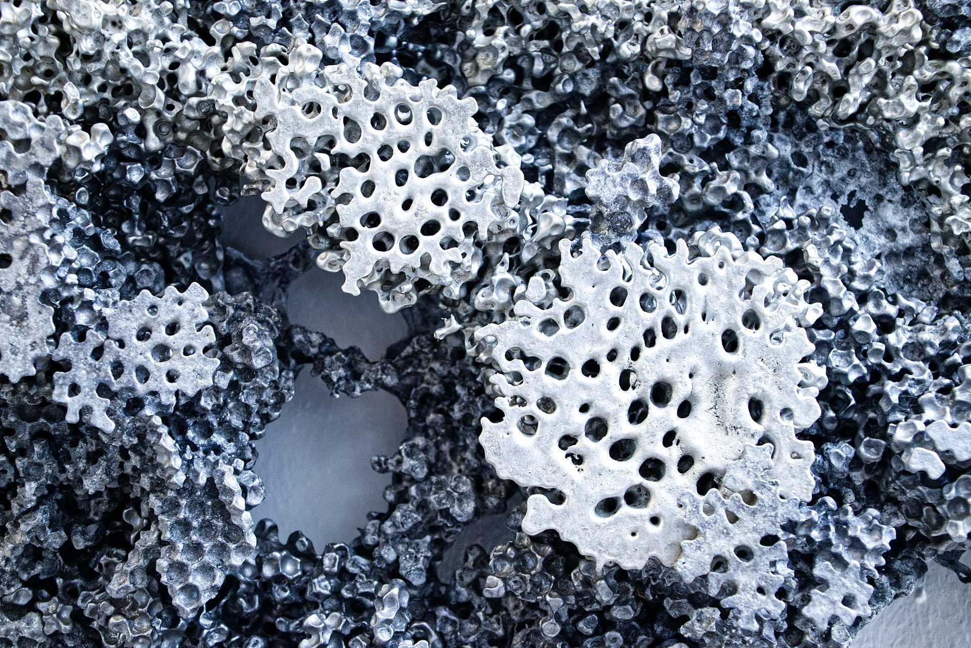 Neu in der Galerie Skulpturen von Max Engels