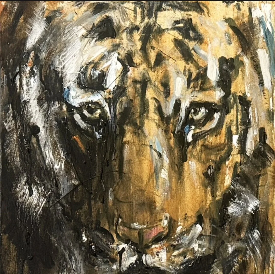 Tiger 46, 40 x 40 cm, Mixed Media auf Leinwand
