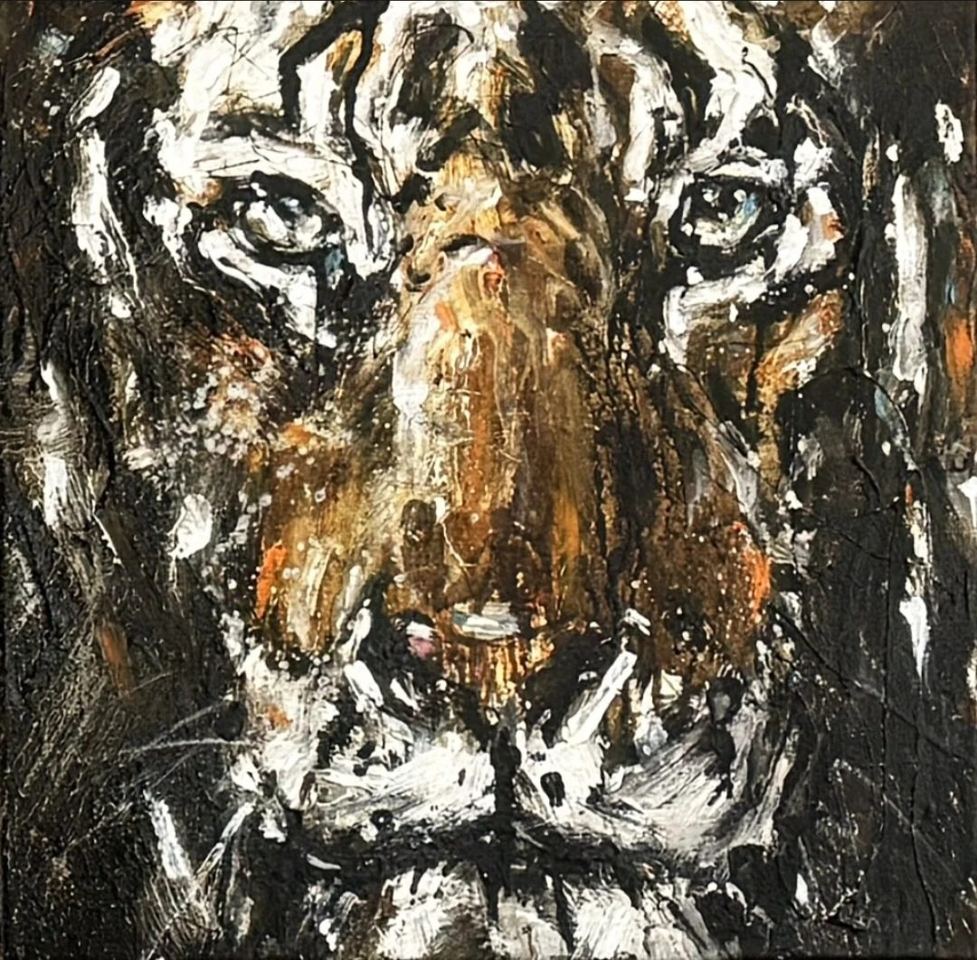 Tiger 48, 40 x 40 cm, Mixed Media auf Leinwand