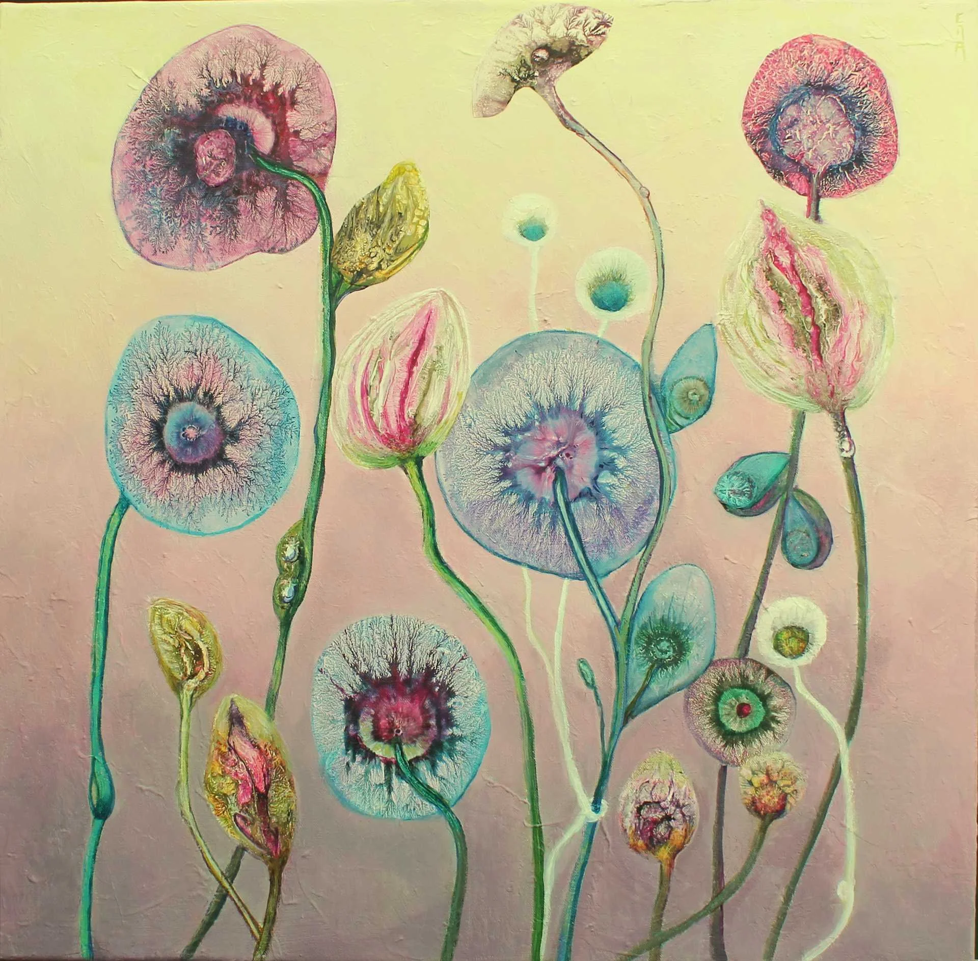 Blooming 7, Acryl & Mischtechnik auf Leinwand, 60 x 60 cm, Unikat