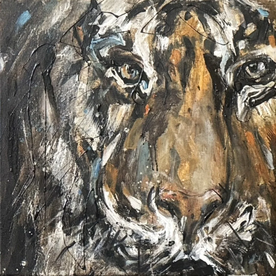 Tiger 45, 40 x 40 cm, Mixed Media auf Leinwand