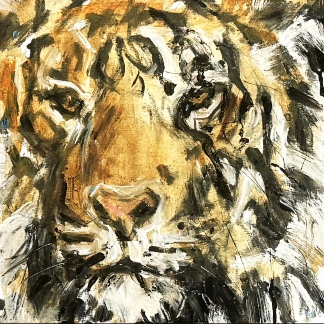 Tiger 47, 40 x 40 cm, Mixed Media auf Leinwand