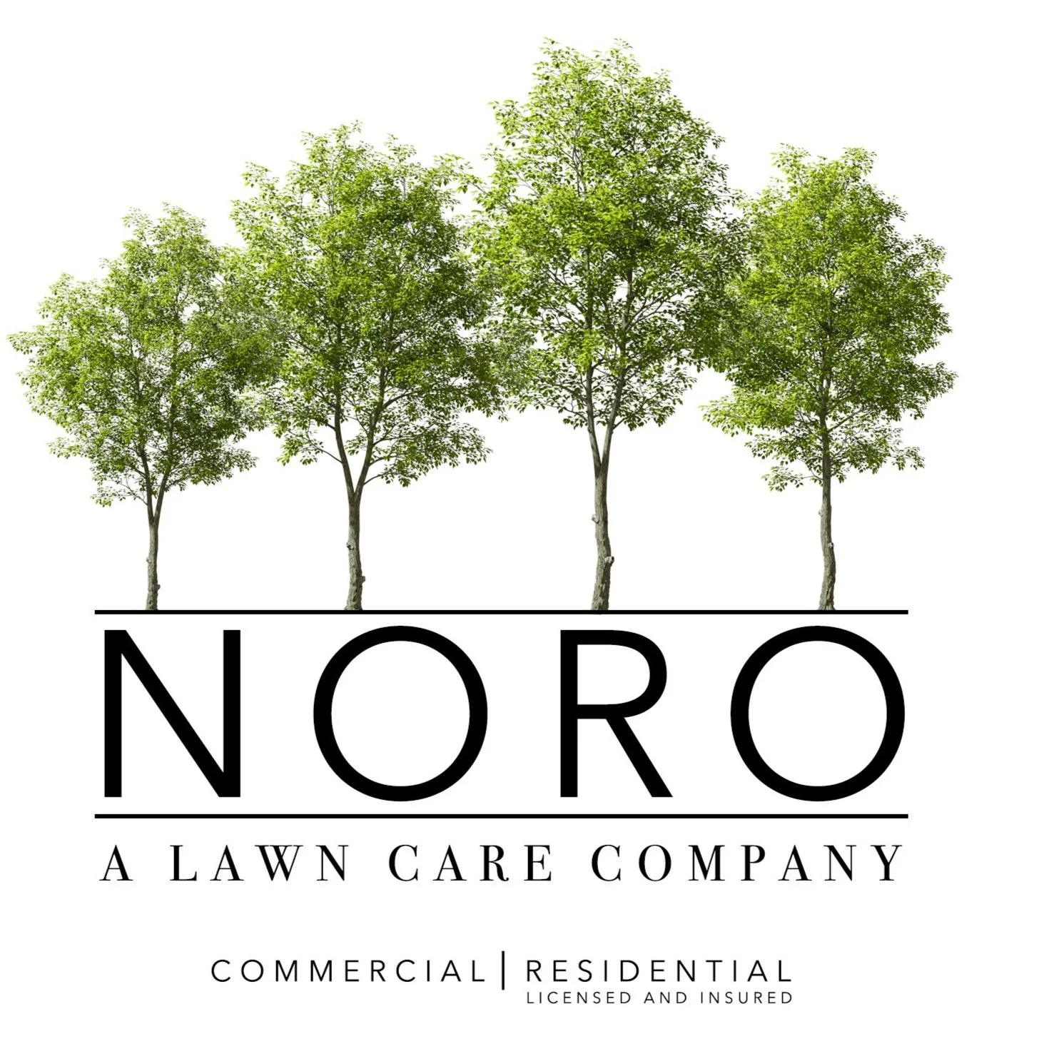 NORO_A Lawn Care Company_Logo.jpg