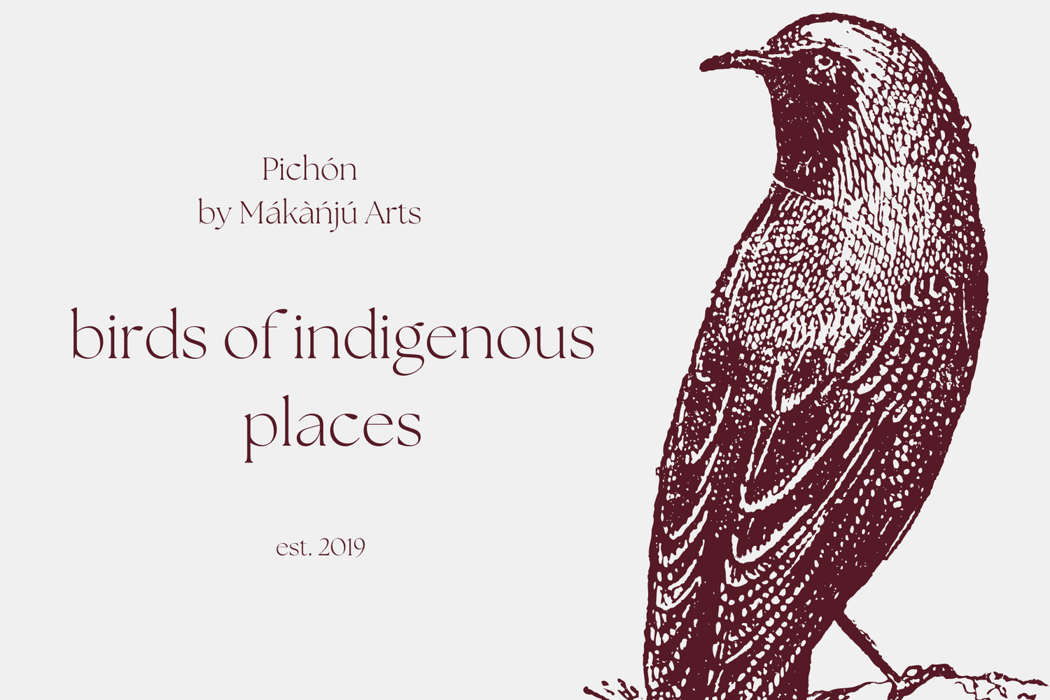 Birds of Indigenous Places