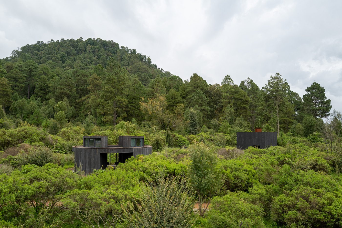 Rain Harvest Home by JSa and Robert Hutchison