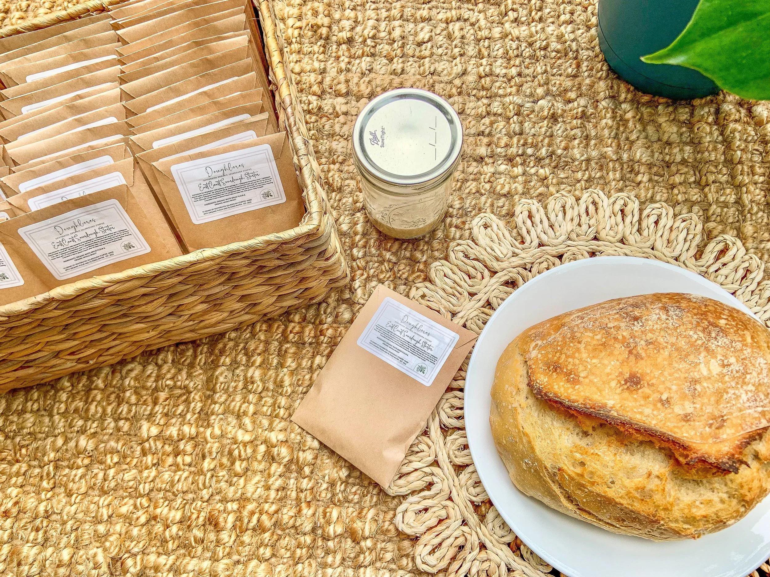 Organic Dehydrated Sourdough Starter - East Coast Sourdough Starter