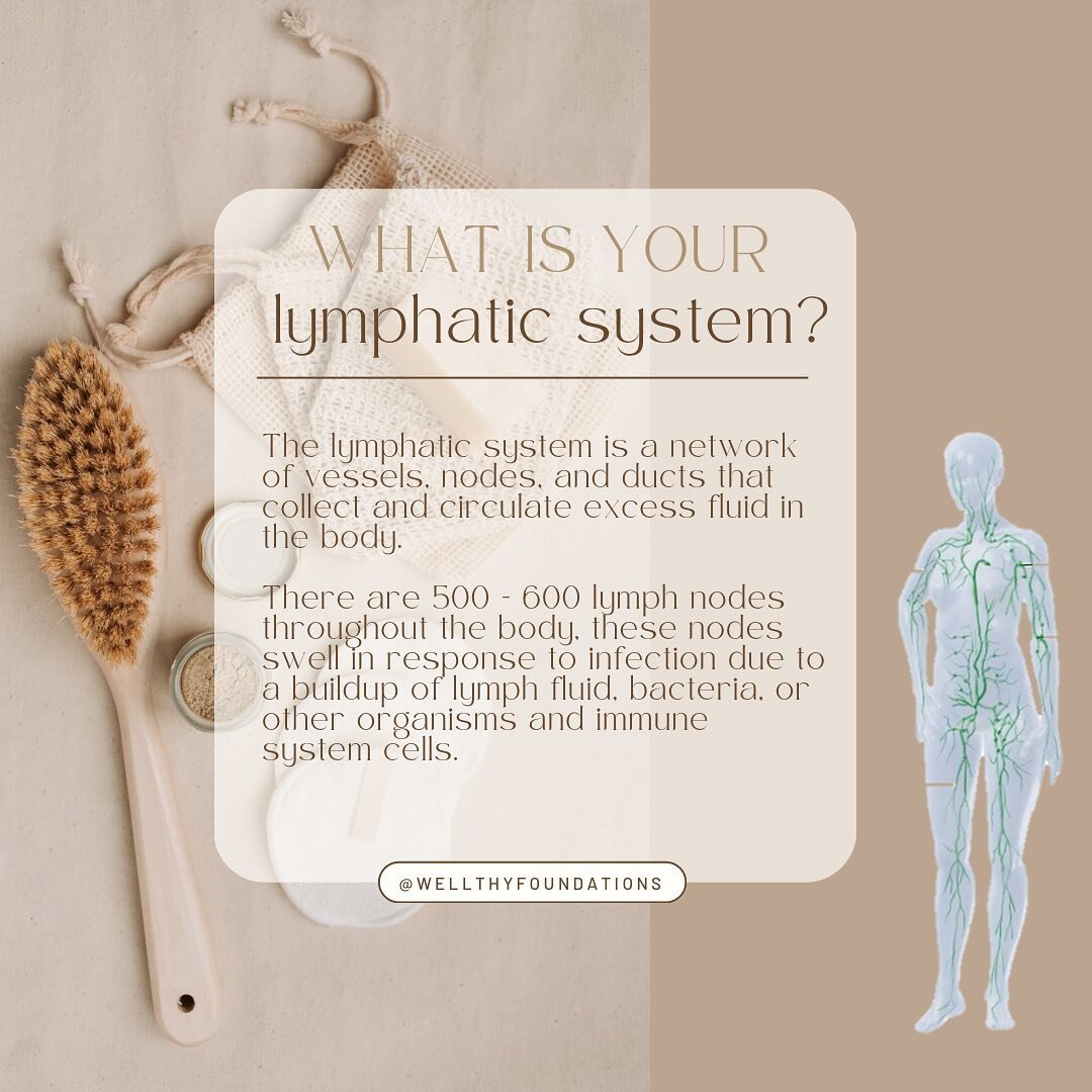 Never medical advice - speak to your functional doctor before starting any new supplement routines 🤍🌿🪴