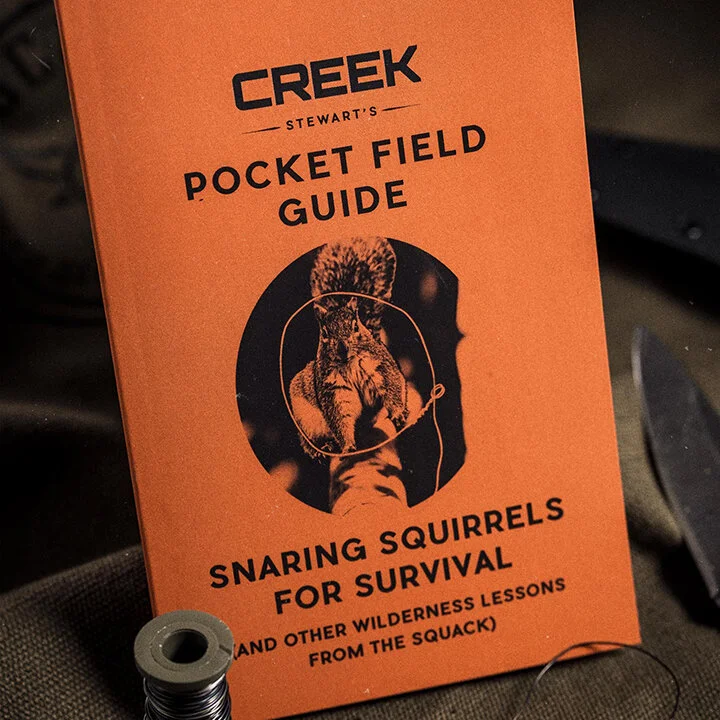 how-to-trap-a-squirrel-cover.jpg