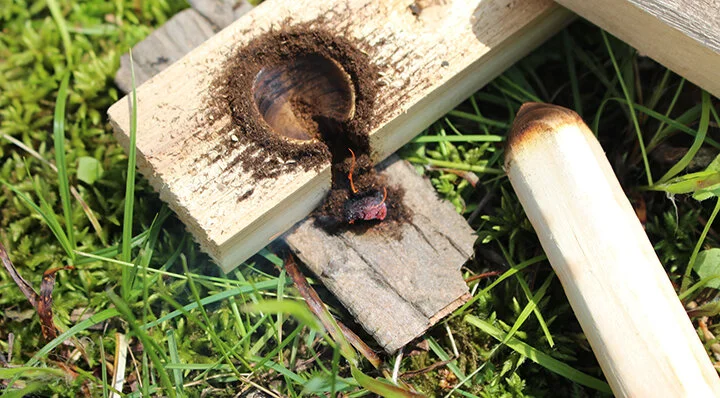 How to Make a Bow Drill Kit (Free Carving Template)