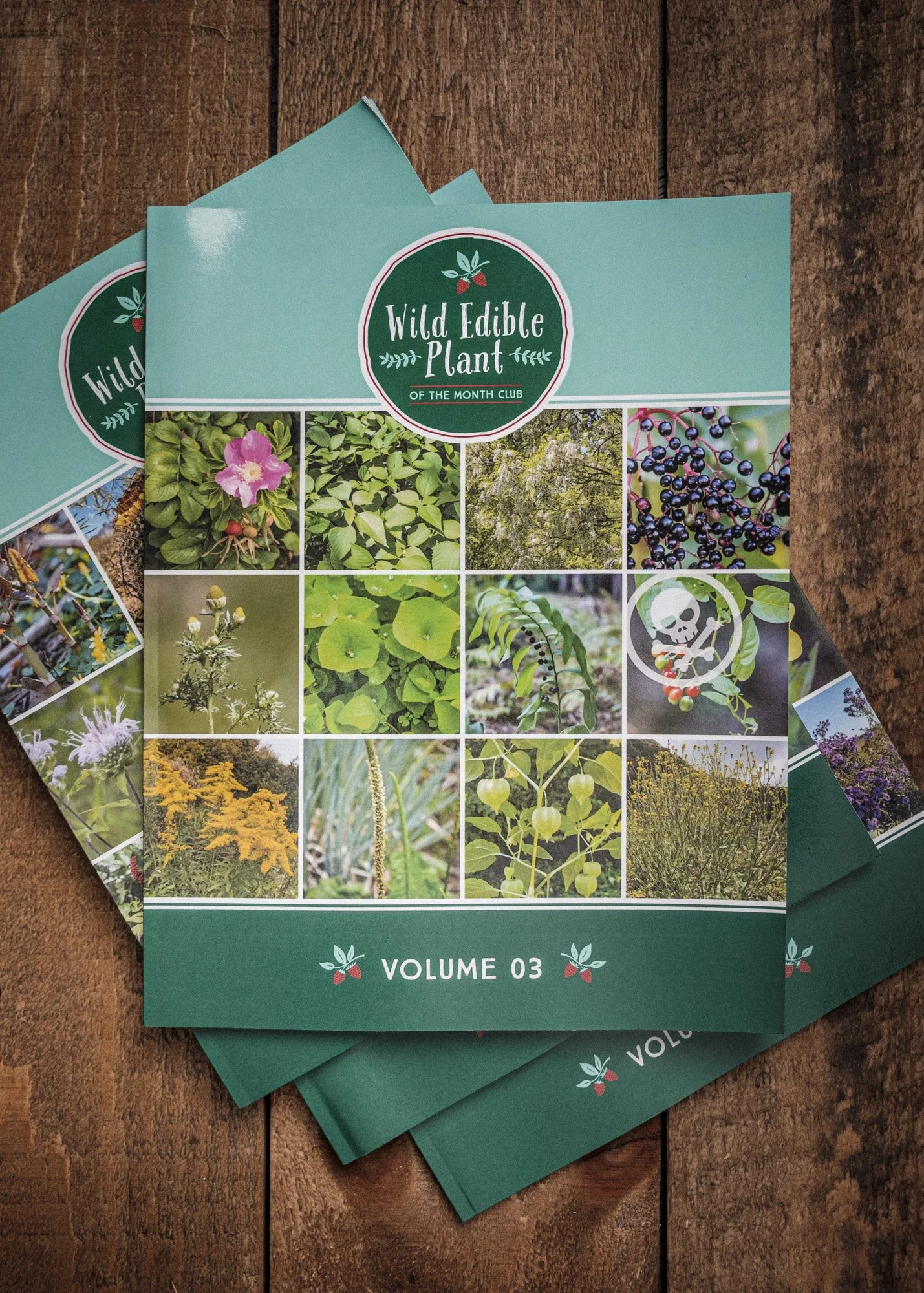 cs-wild-edible-books-5.JPG