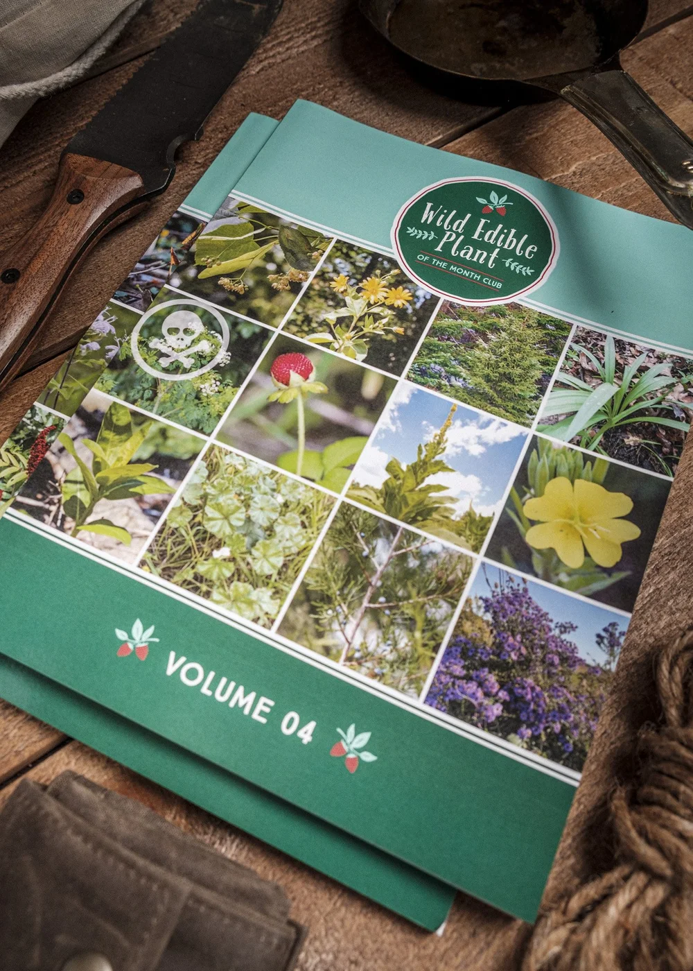 Wild Edible Plant of the Month Club: VOLUME 4  Creek Stewart