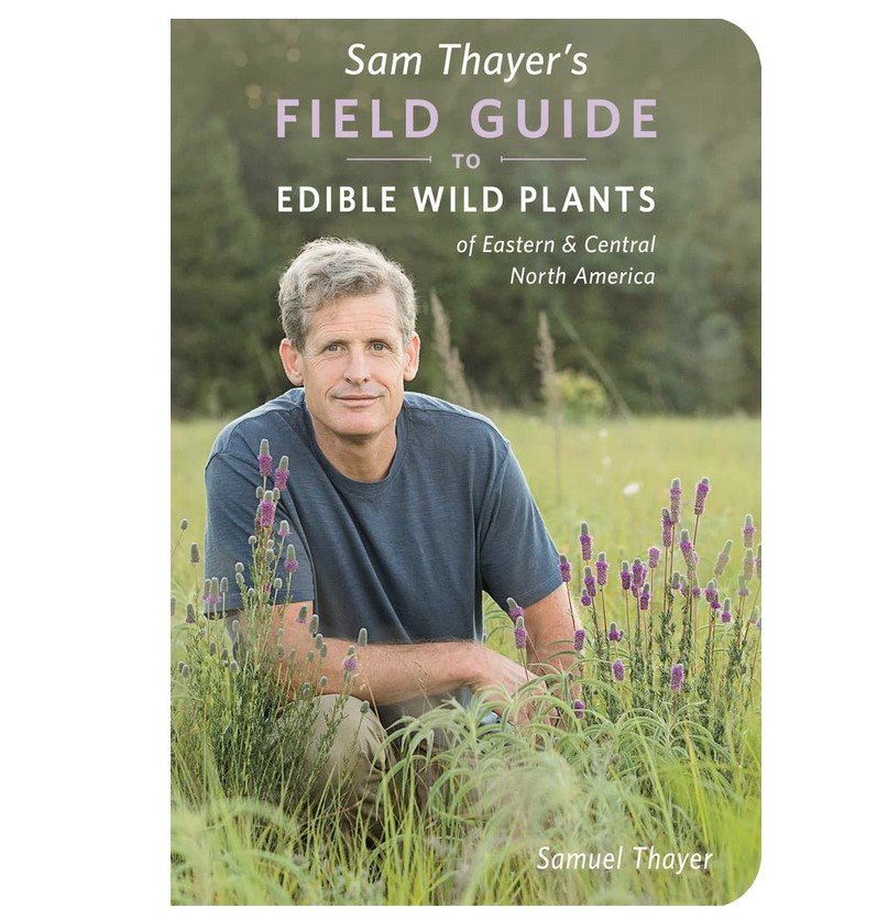 Sam Thayer's Field Guide to Wild Edible Plants