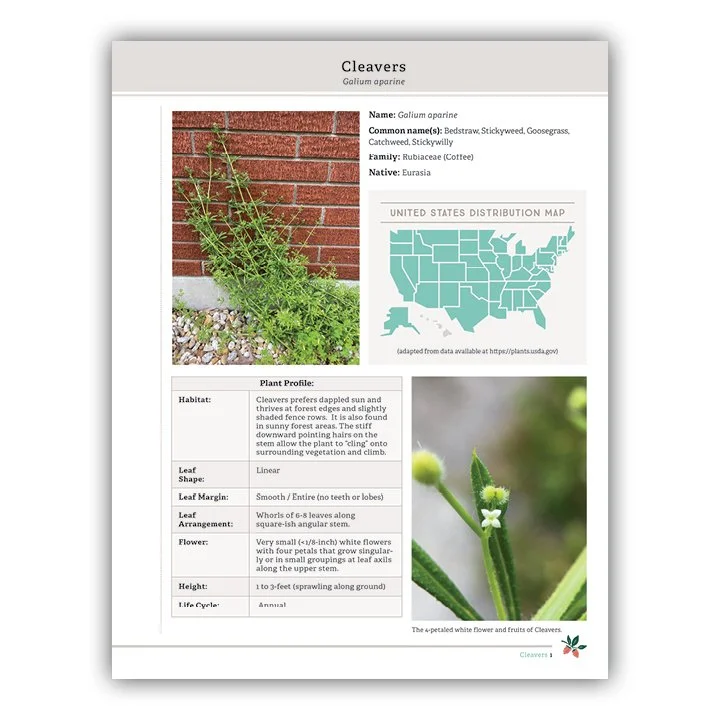 Cleavers