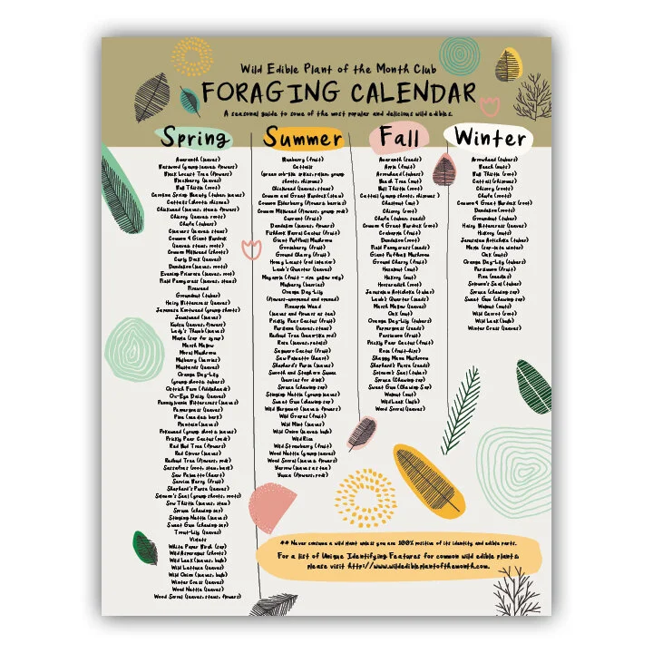 free-foraging-calendar-creek-stewart