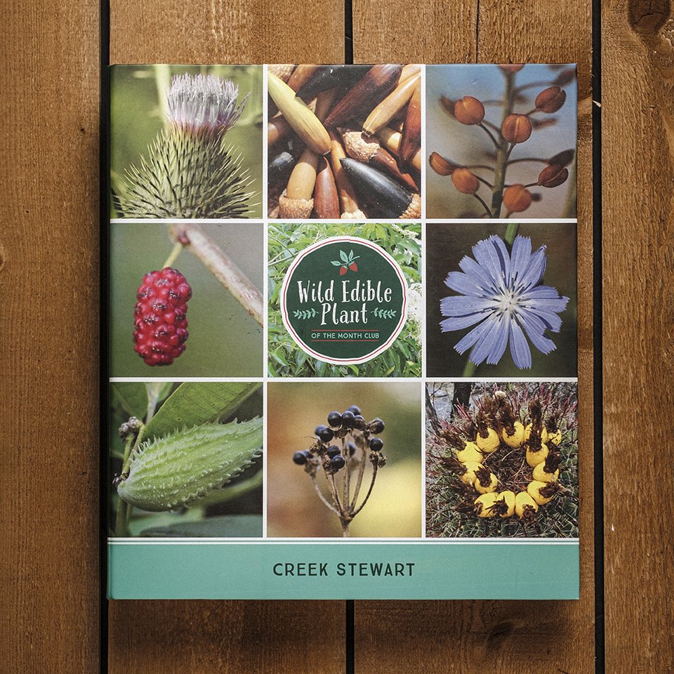 Wild Edible January 2022 1.JPG