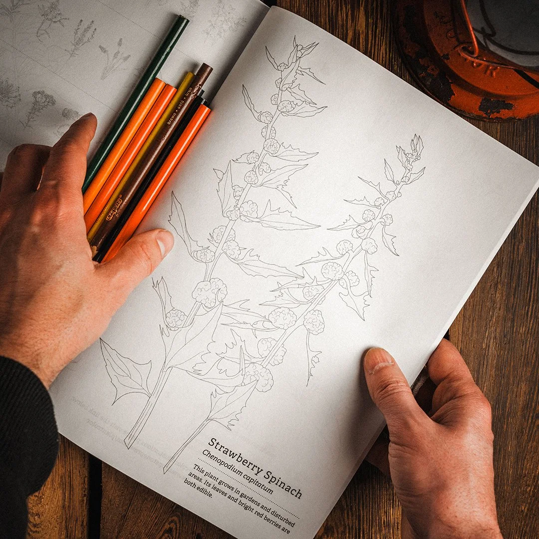 APOCABOX December 2025 12.JPG