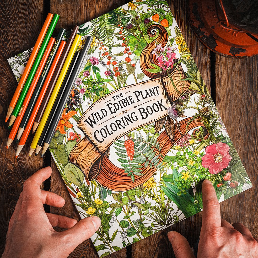 APOCABOX December 2025 11.JPG