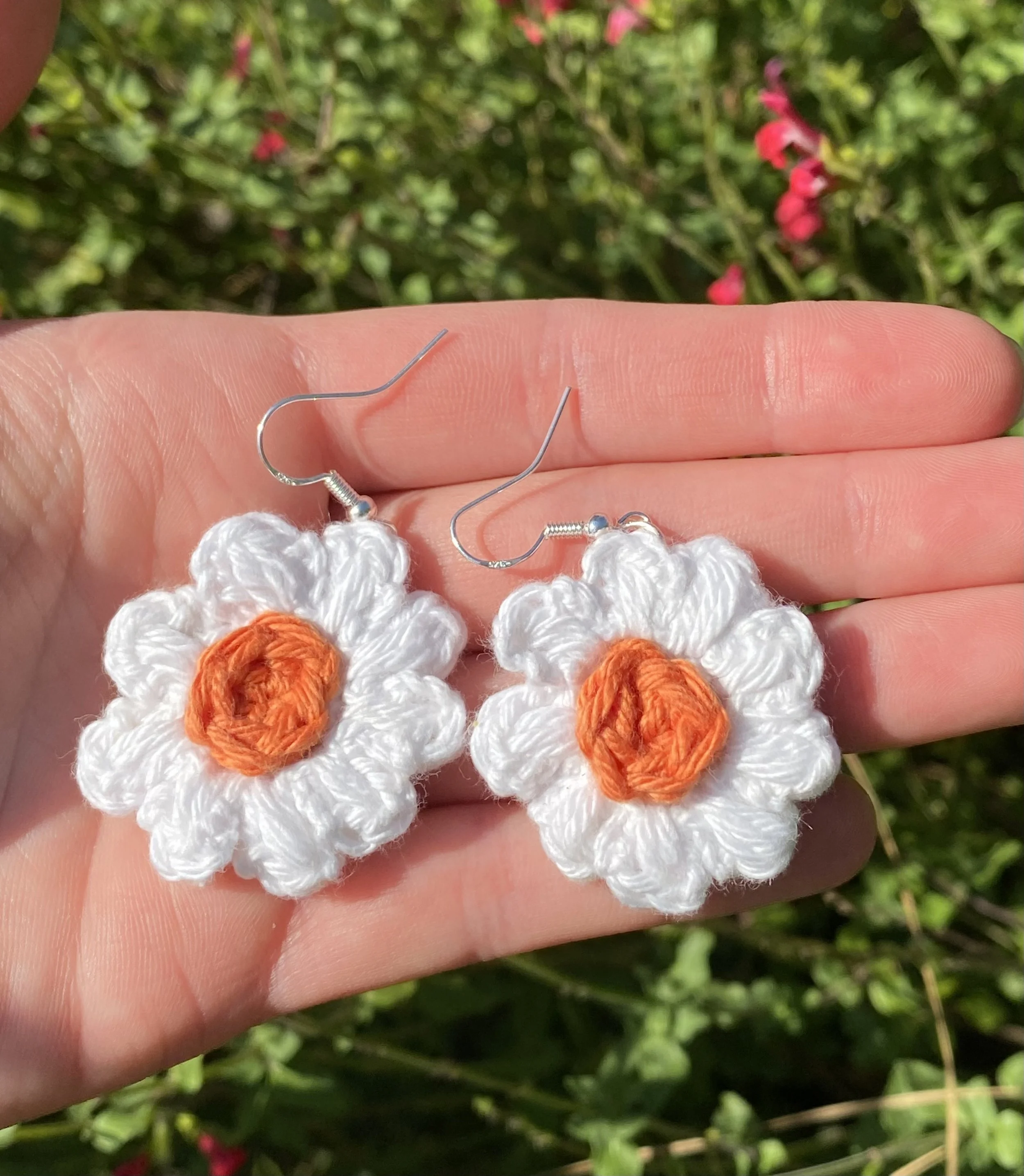 wodaisies.jpg