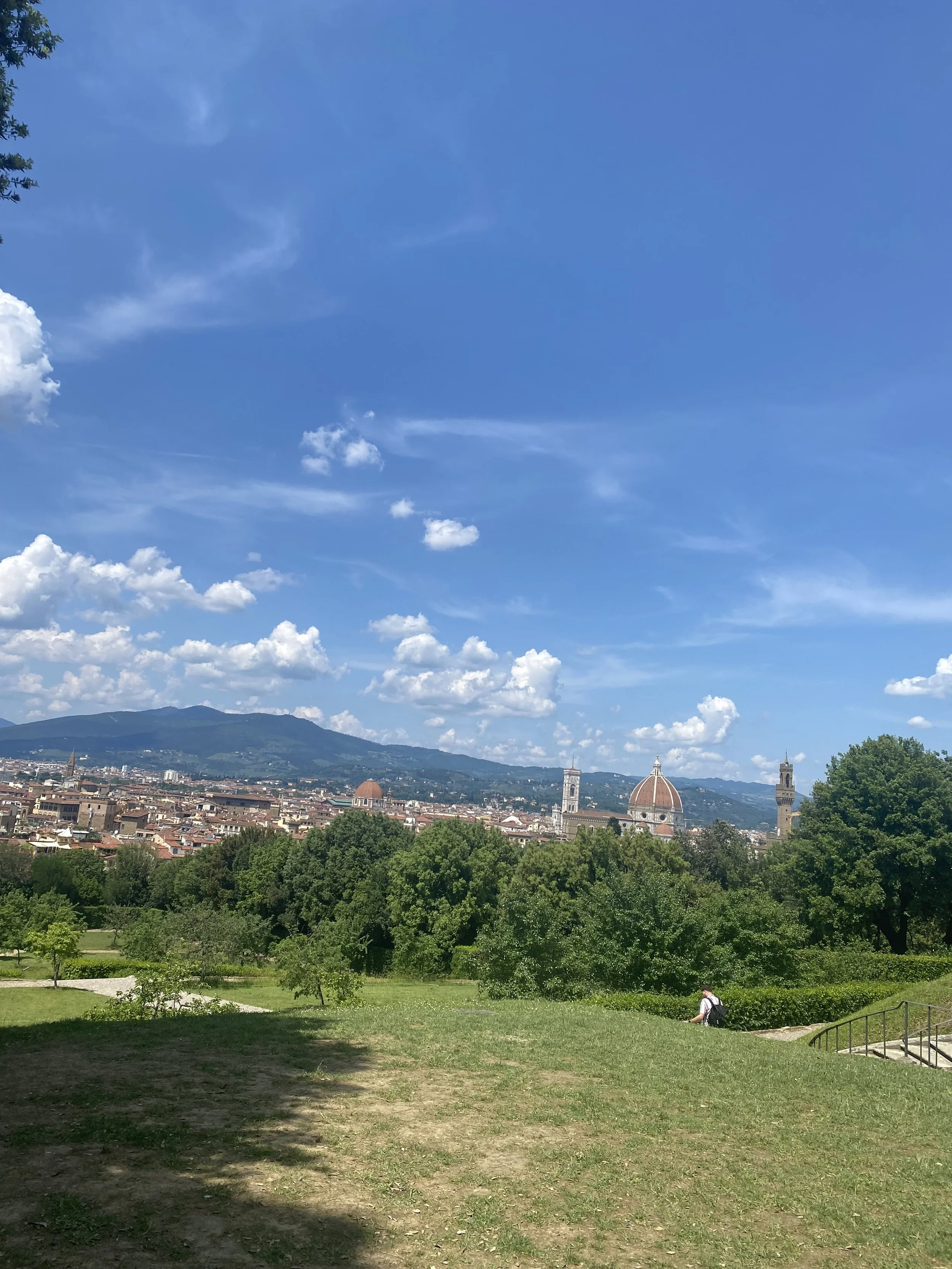 Artemisia, Judith, and Zanzare: A tale from Italy