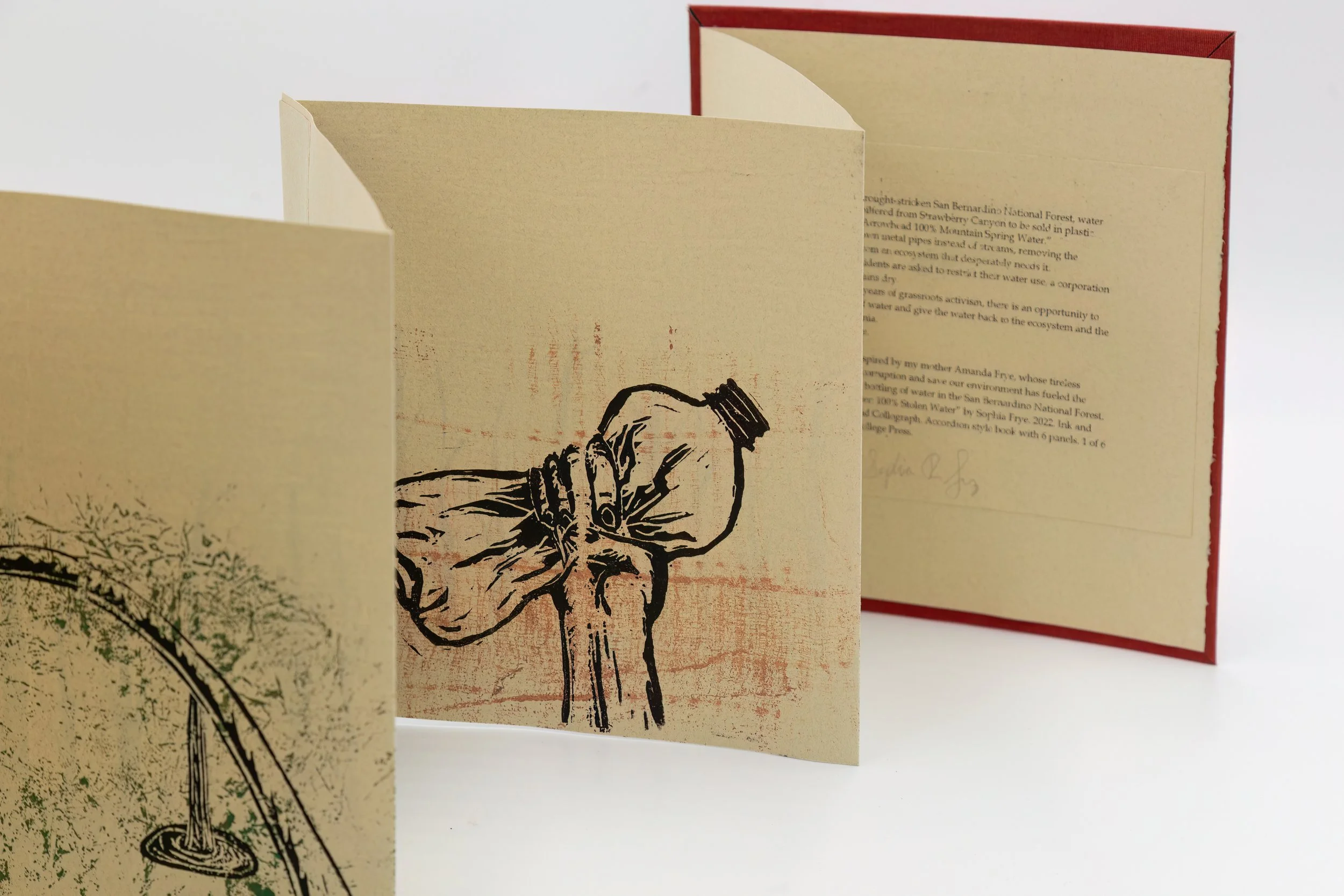 Sophia-enhanced (10).jpg