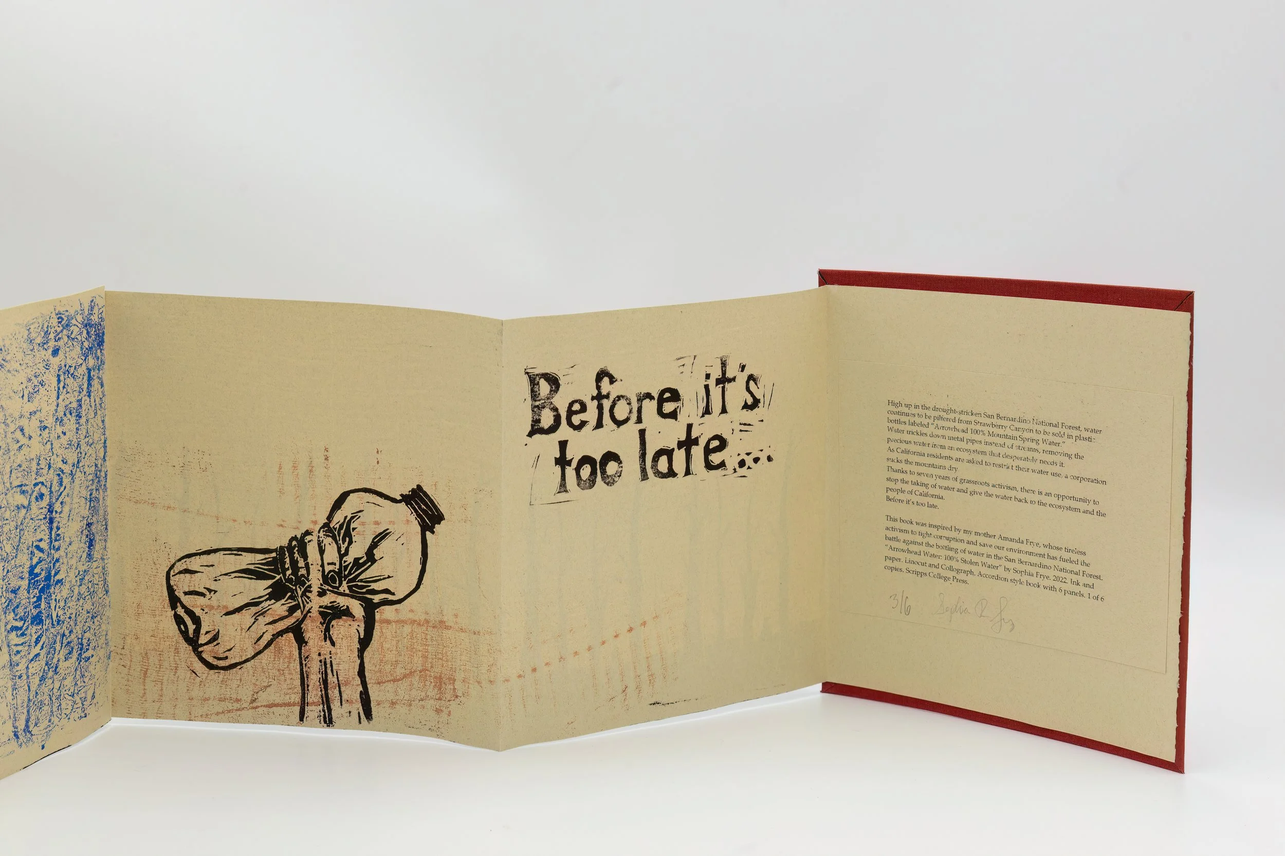 Sophia-enhanced (8).jpg