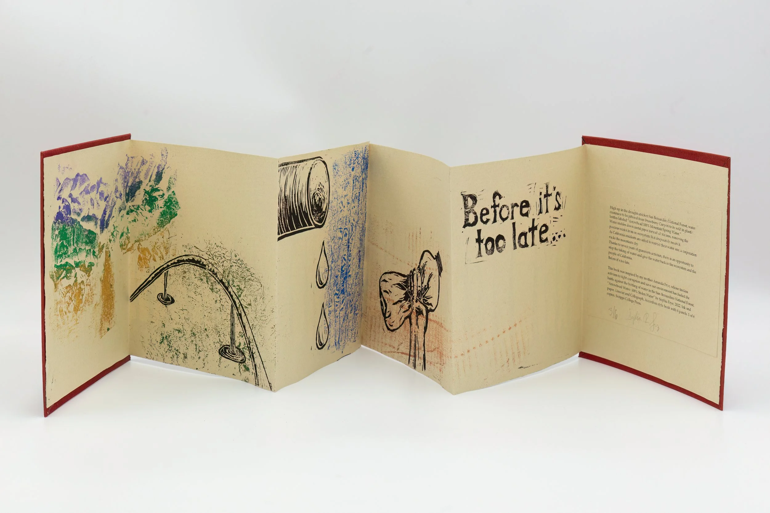 Sophia-enhanced (11).jpg