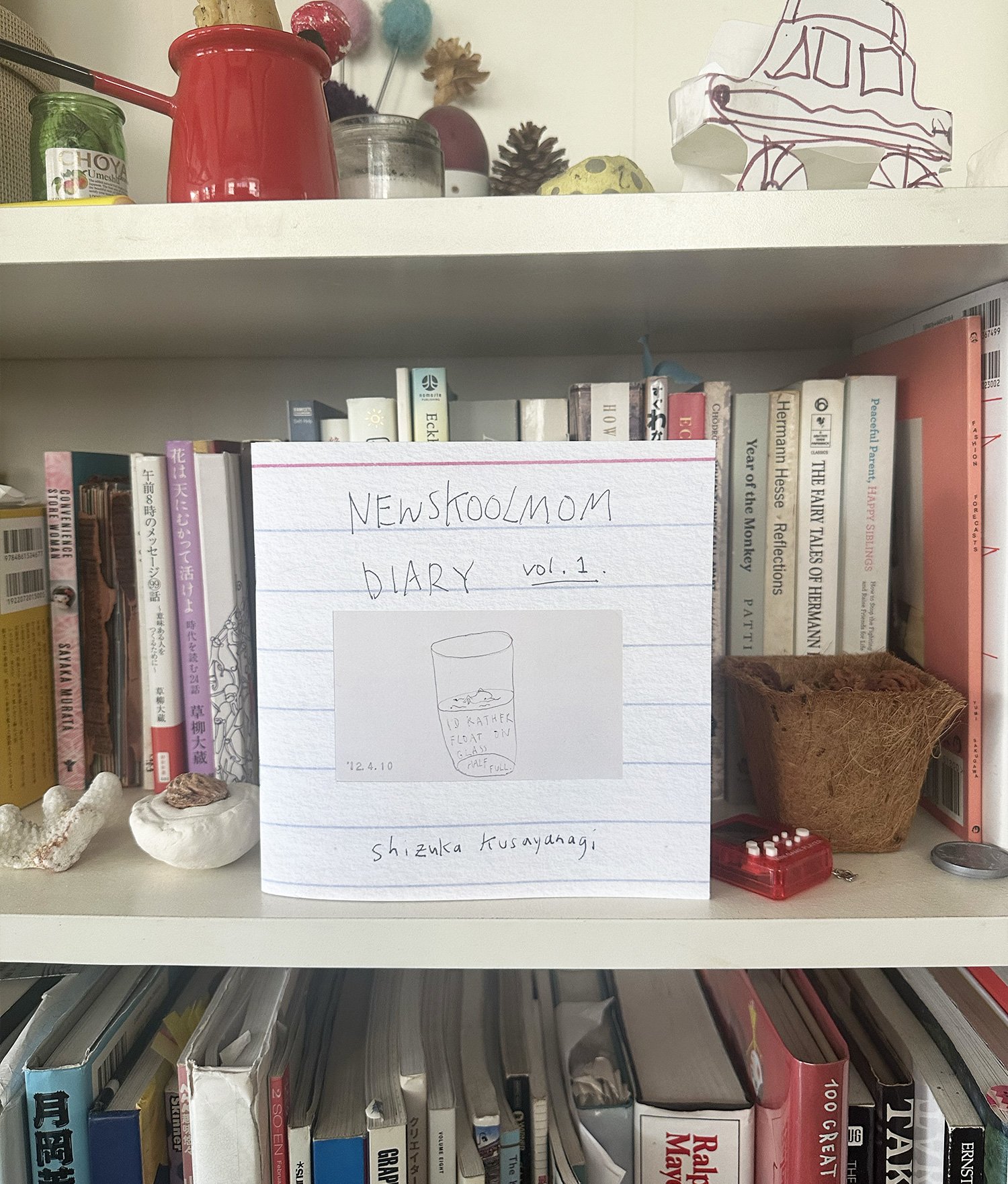 nsm-diary-cover-bookshelf.jpg