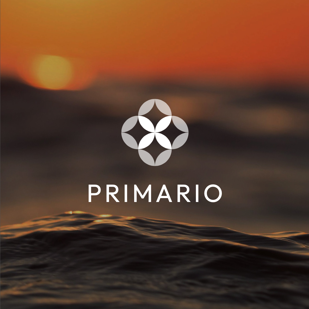 Why Primario is the Gold Standard for Property Management in Guanacaste?