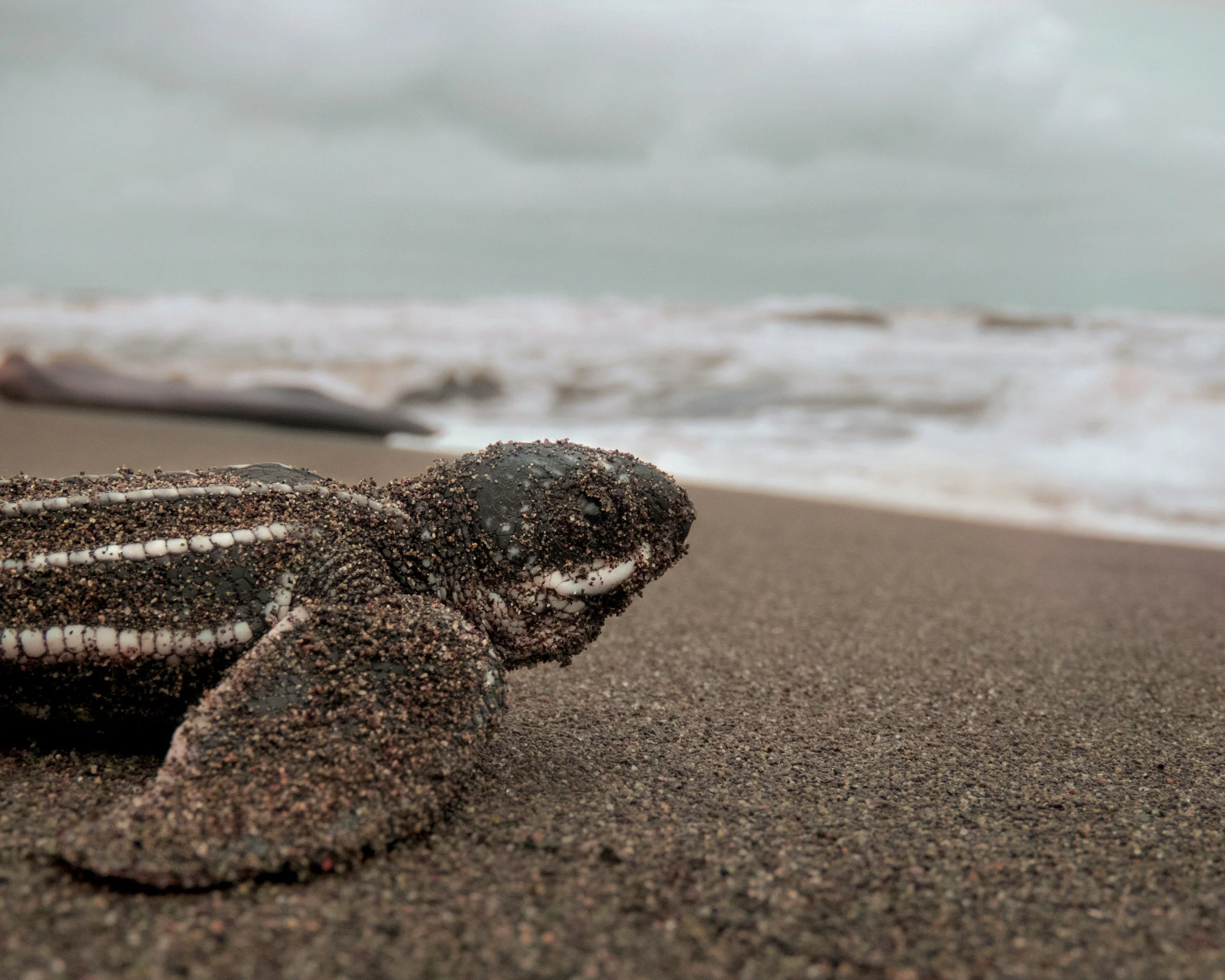 The Top 20 FAQ “Costa Rica version” Part 2: The Guest Stay Guide