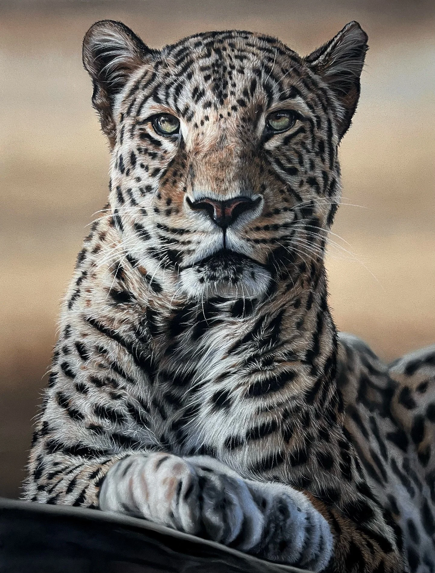 Leopard Queen.jpg