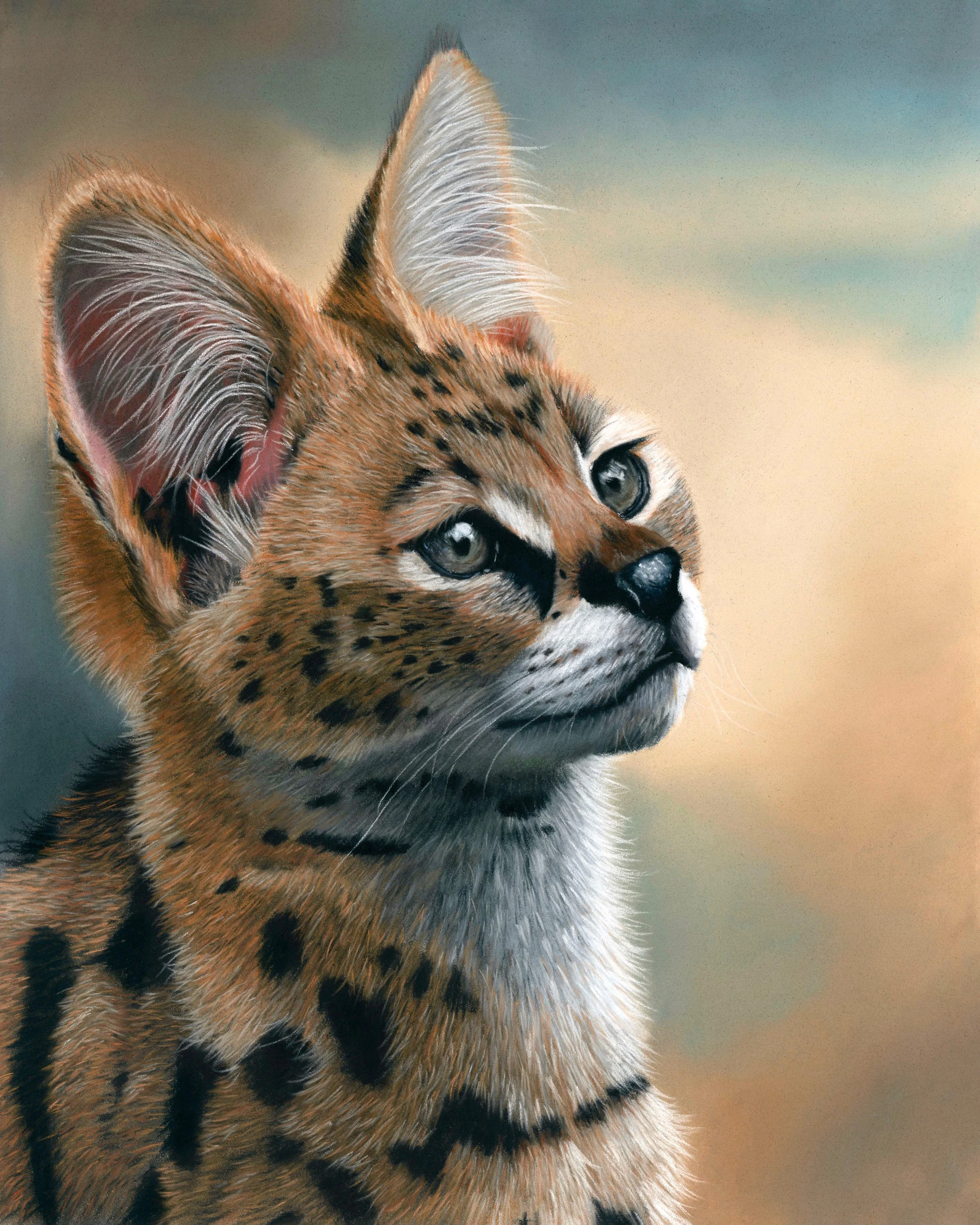 Serval Final.jpg