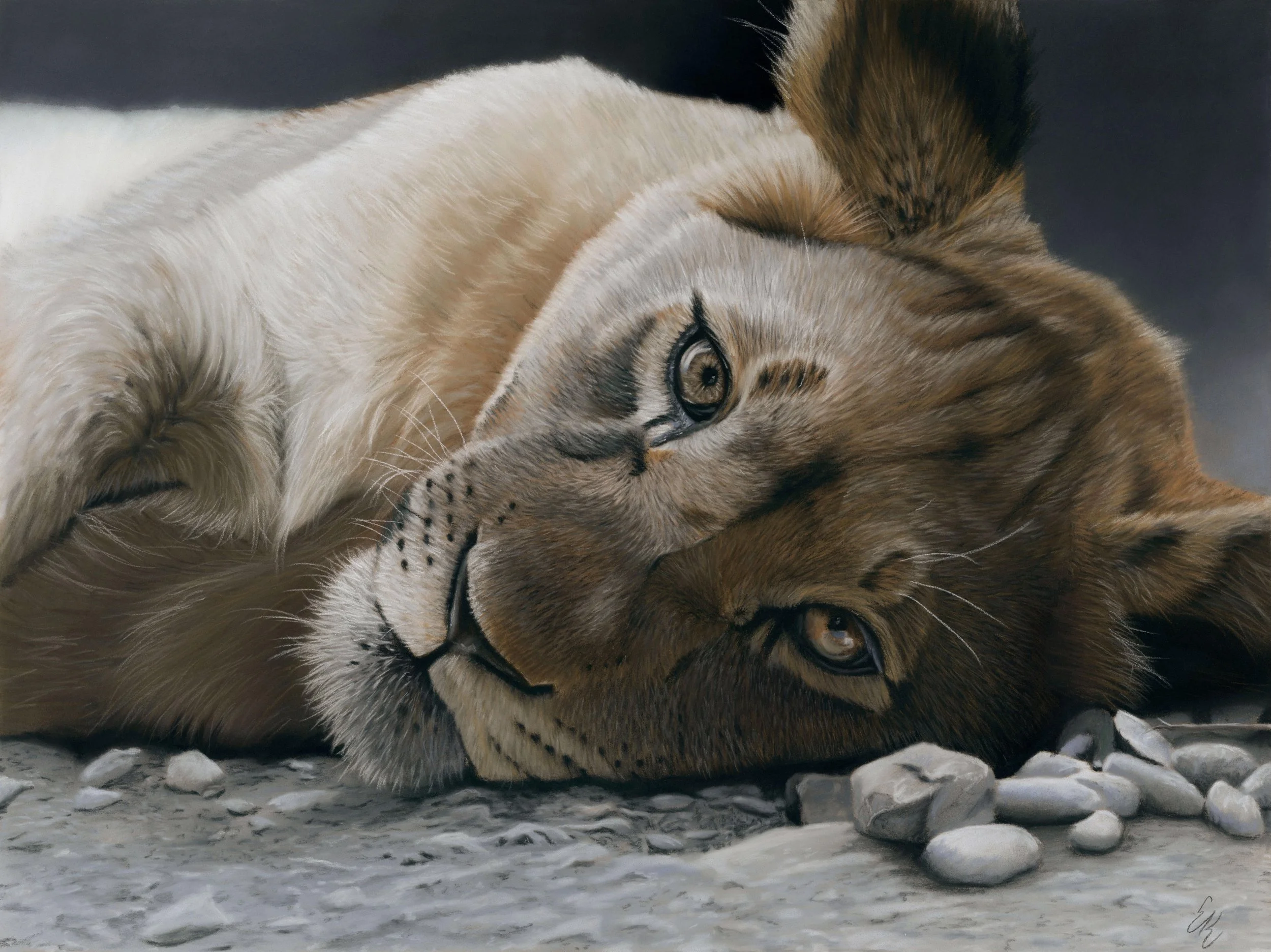 lion cub.jpg