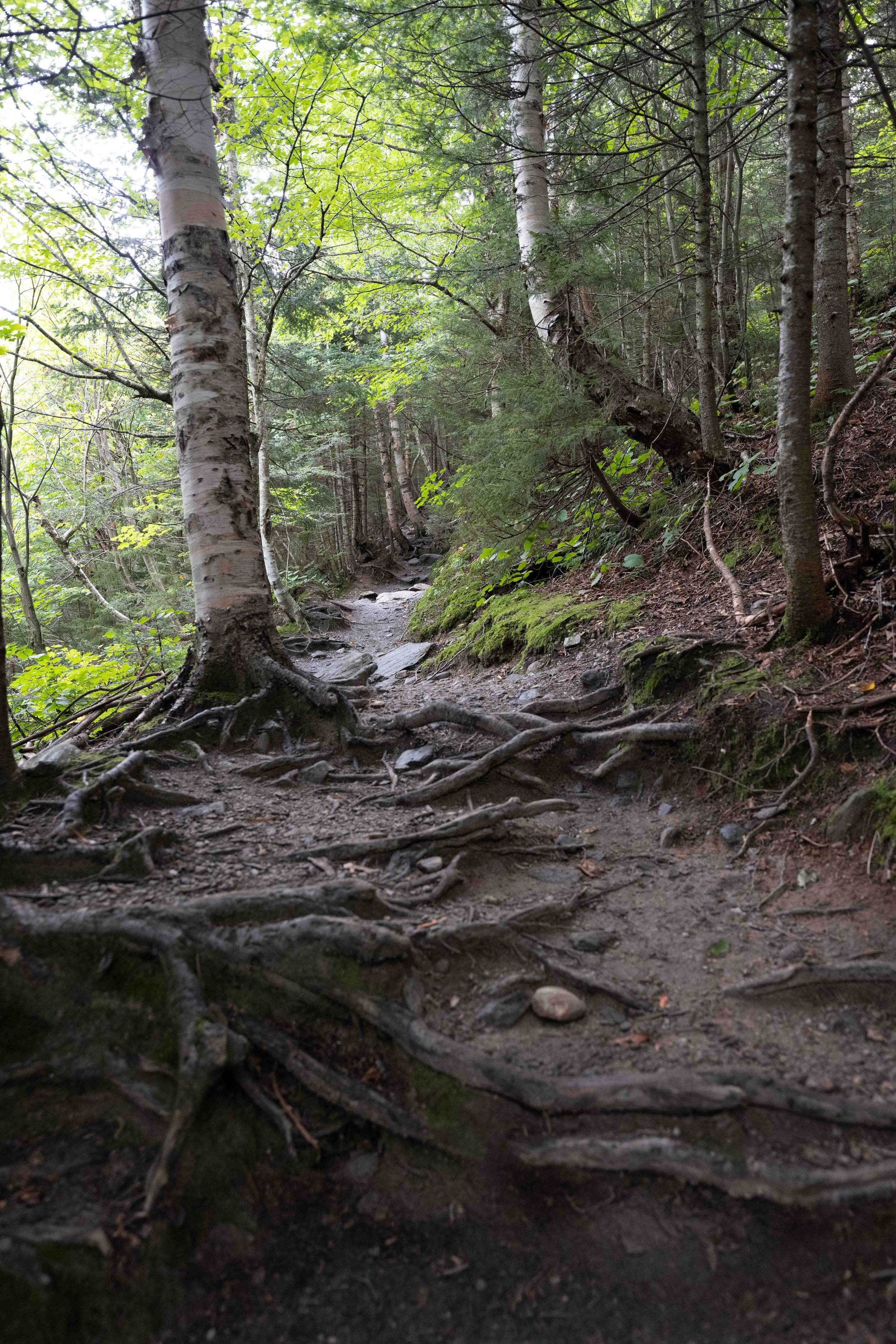 Stowe, Hike and Hill Farmstead Brewery
