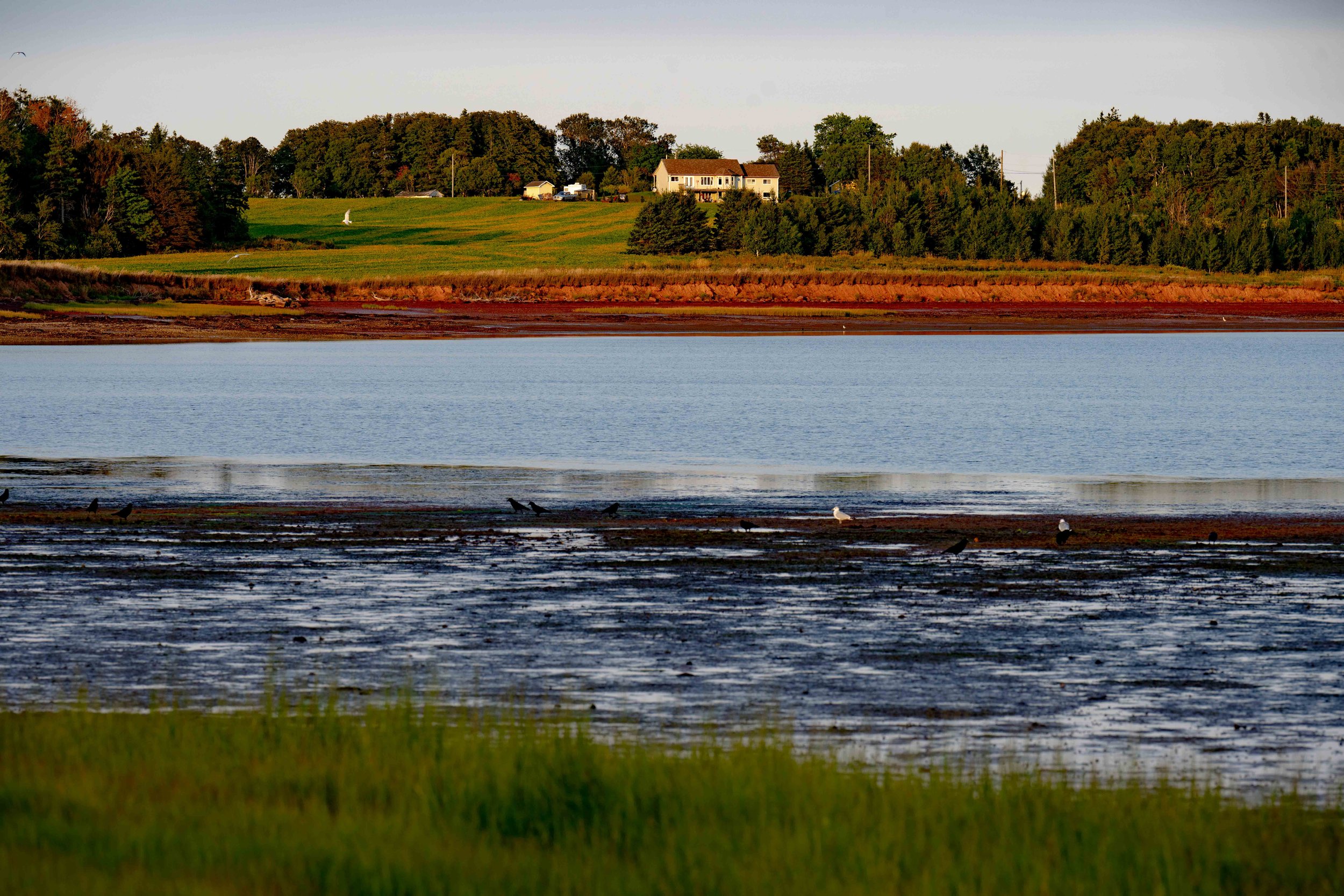Drive to Prince Edward Island (PEI)