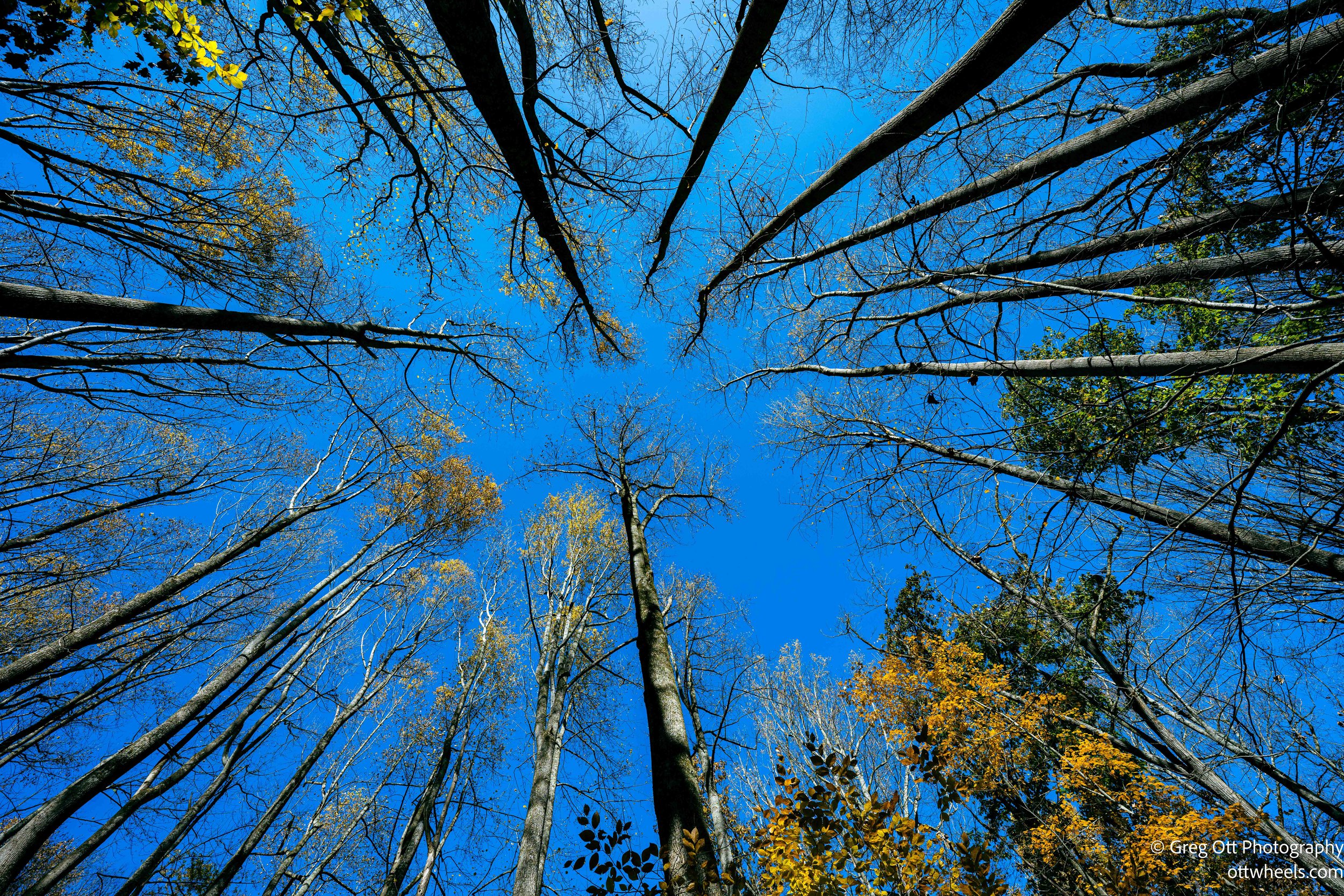 Catoctin Mountain To Fort Fredrick