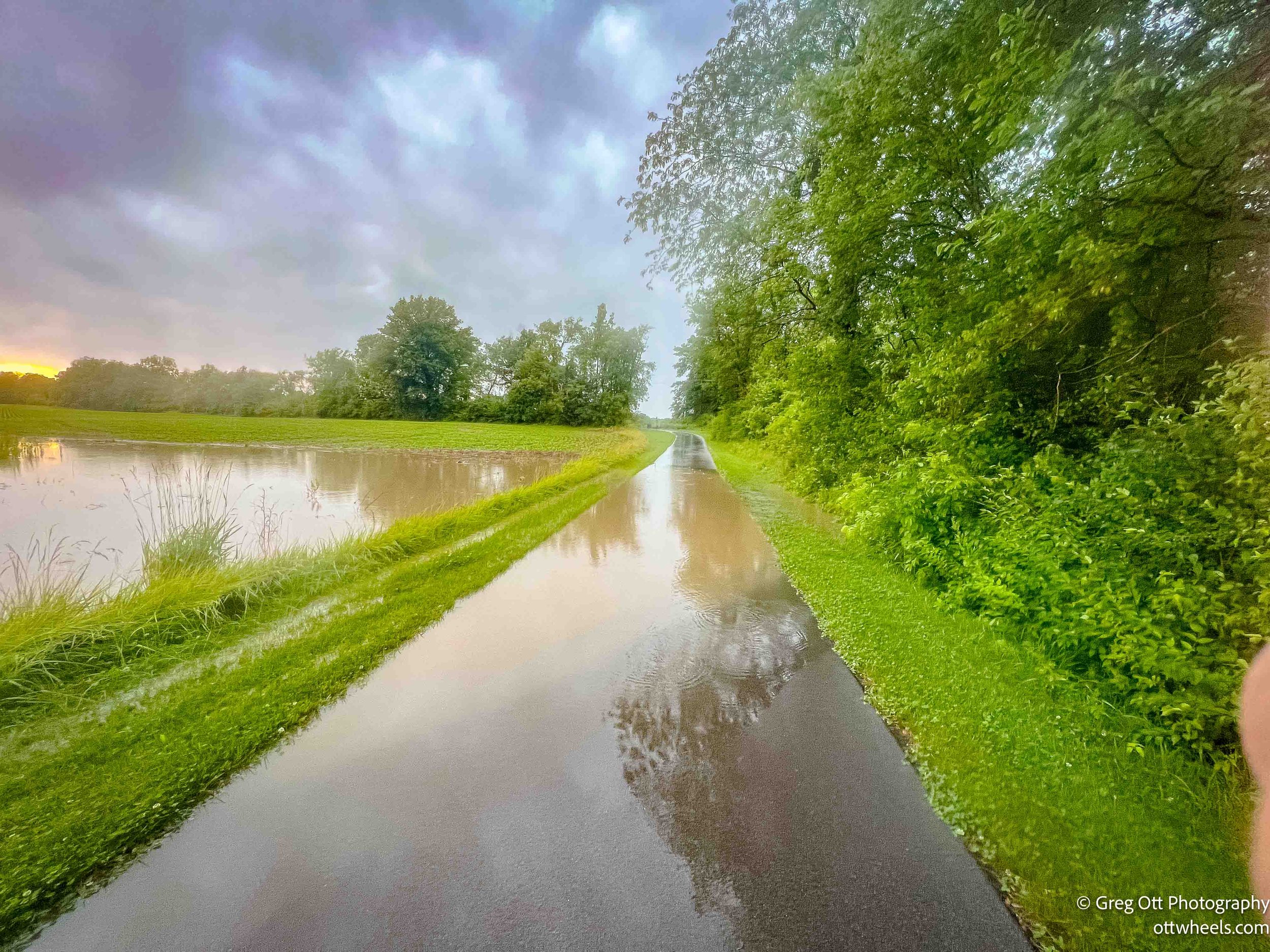 Tornadoes, Turtles & CVS: A Very Indiana Day