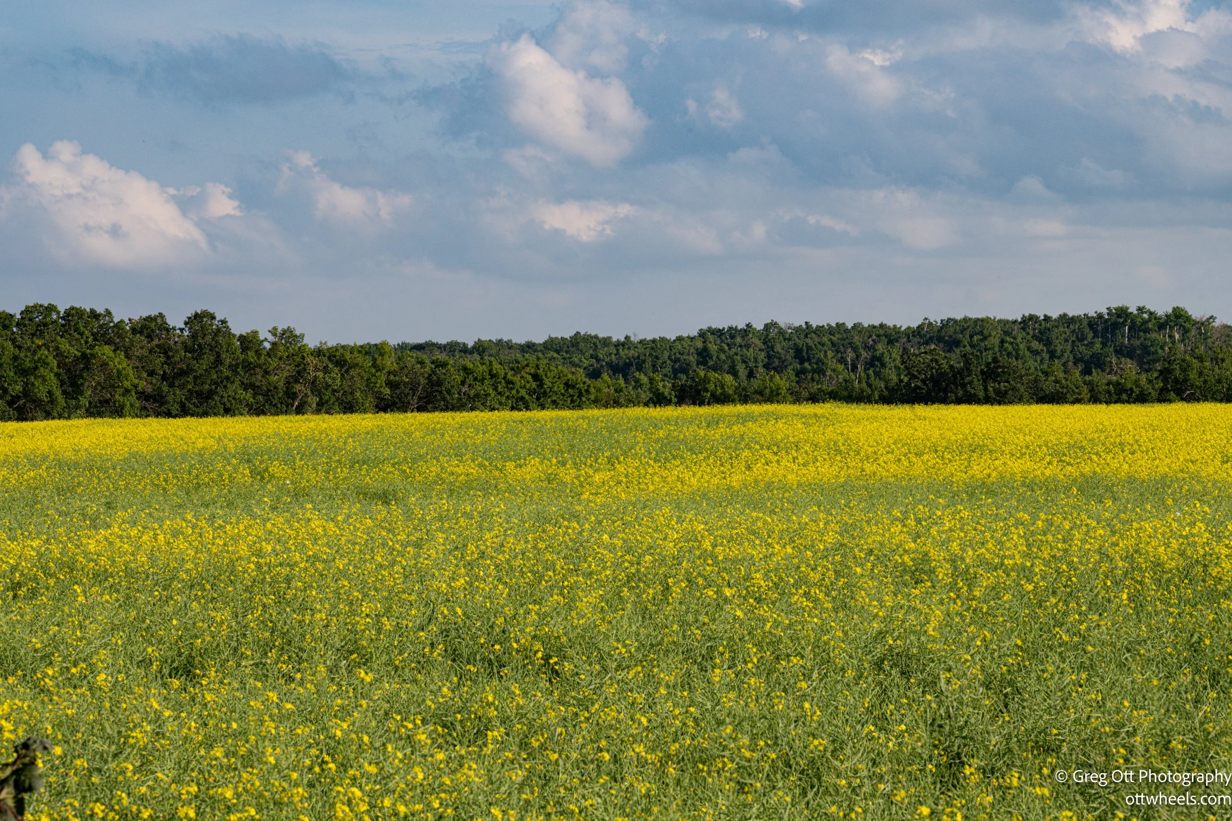 DSC_2186.jpg
