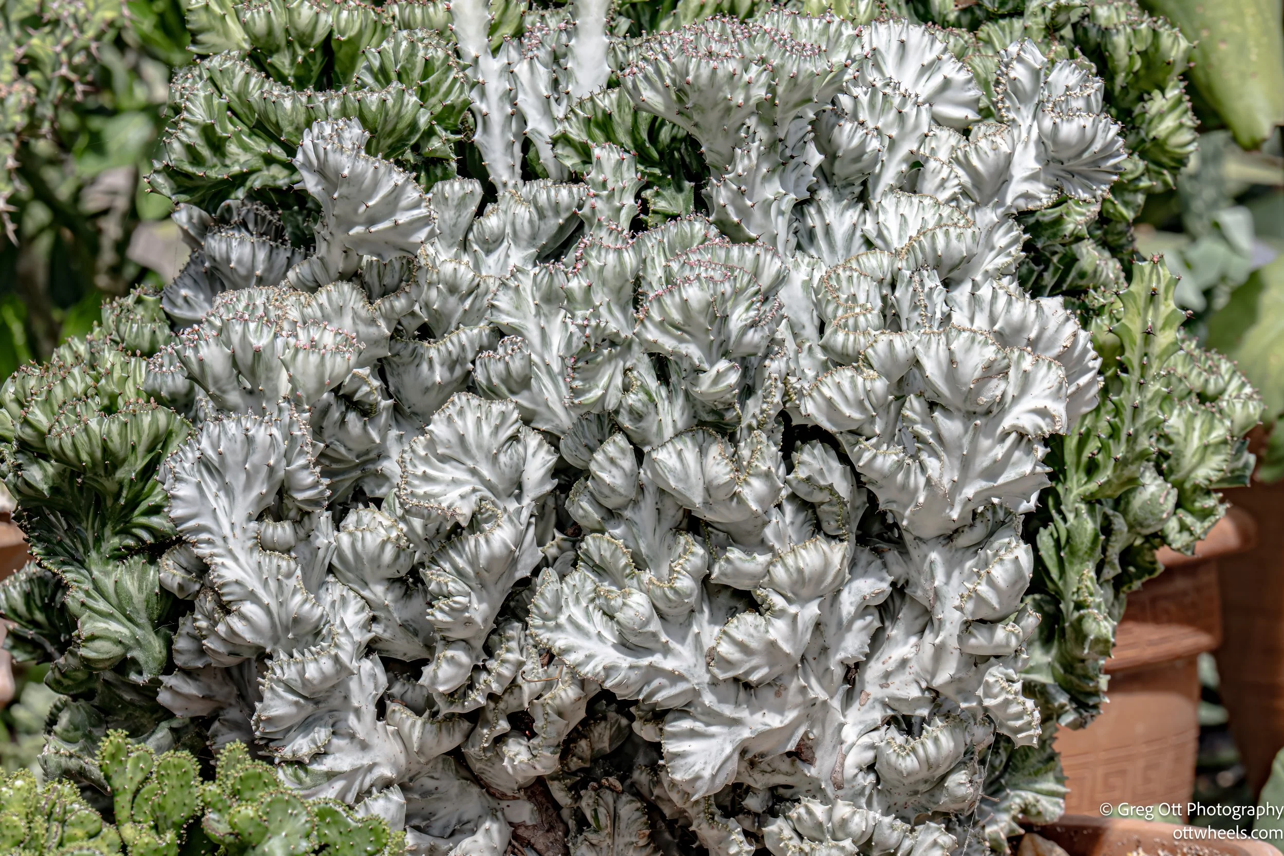 DSC_2235-Edit.jpg