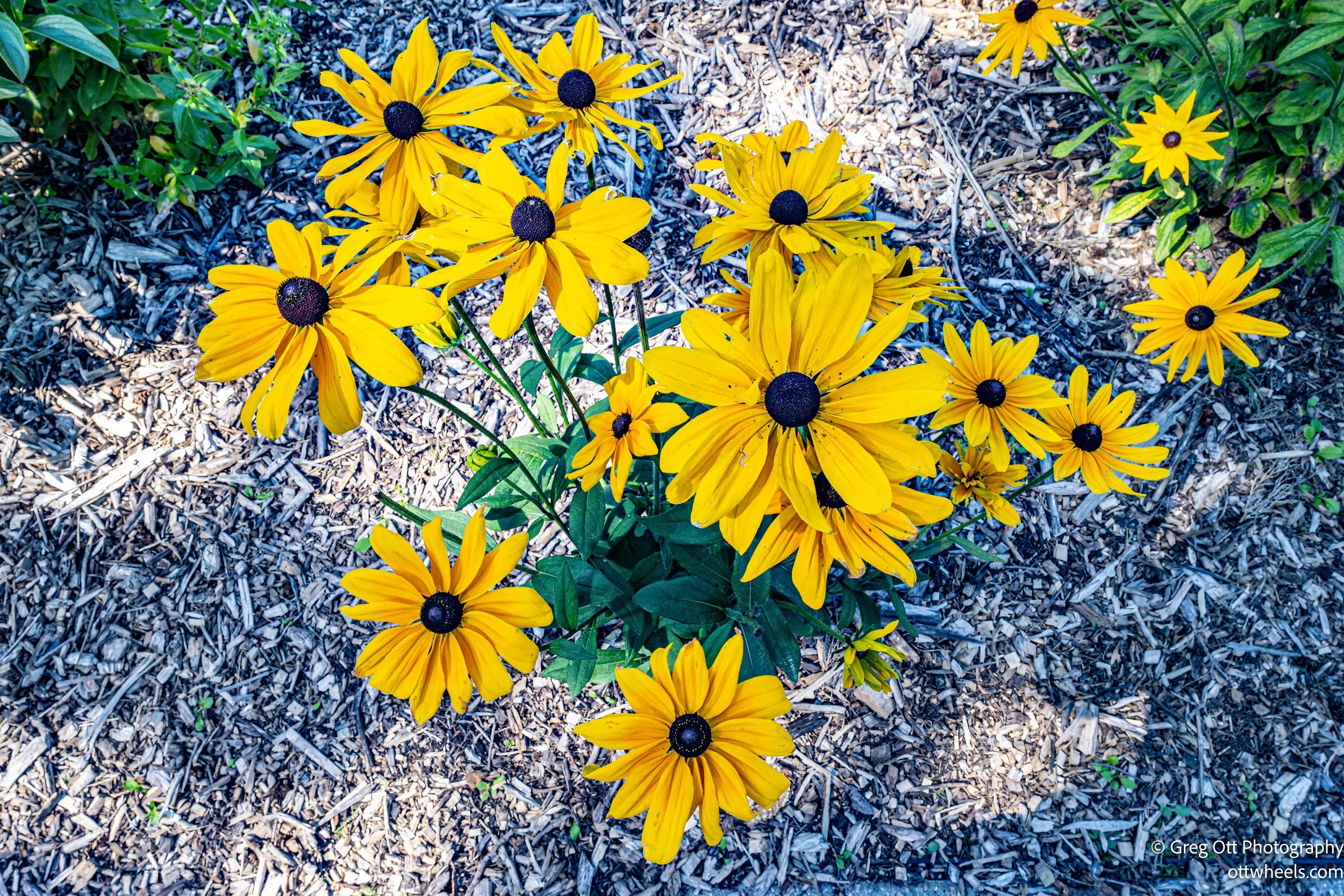 DSC_2280-Edit.jpg