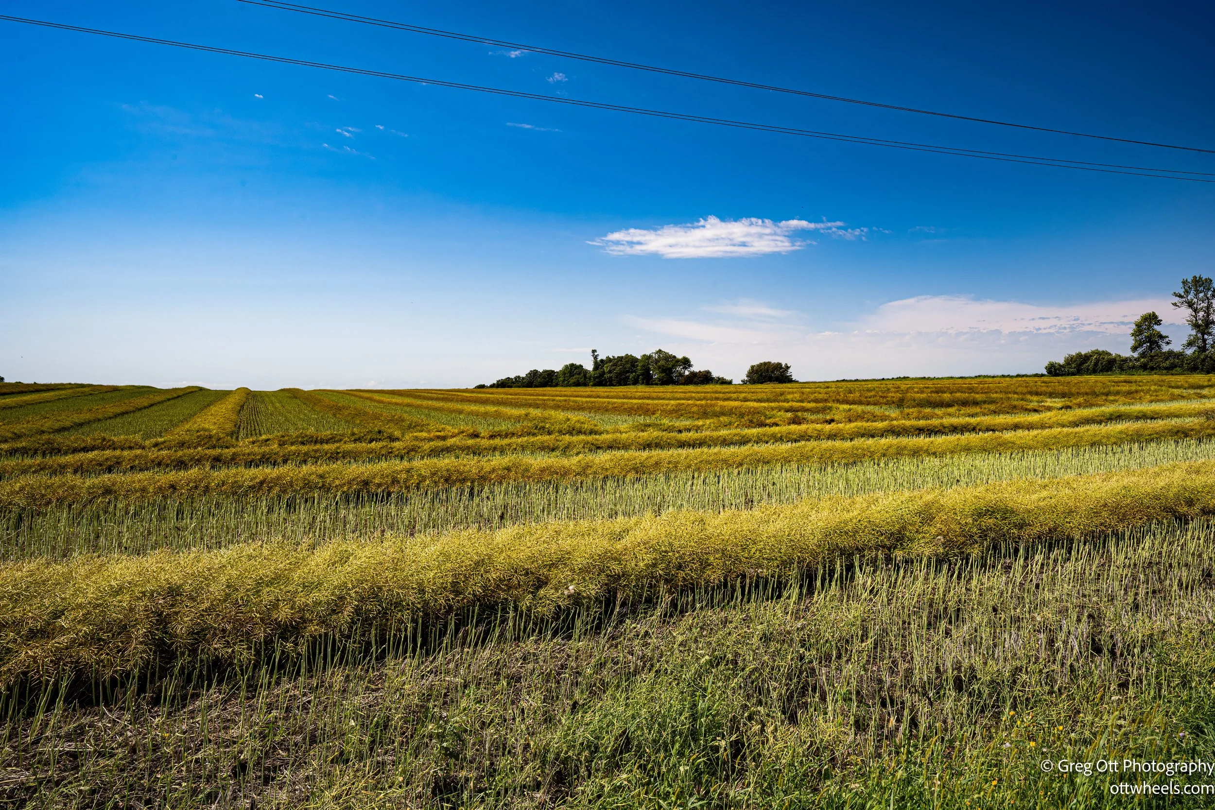 DSC_2370-Edit.jpg