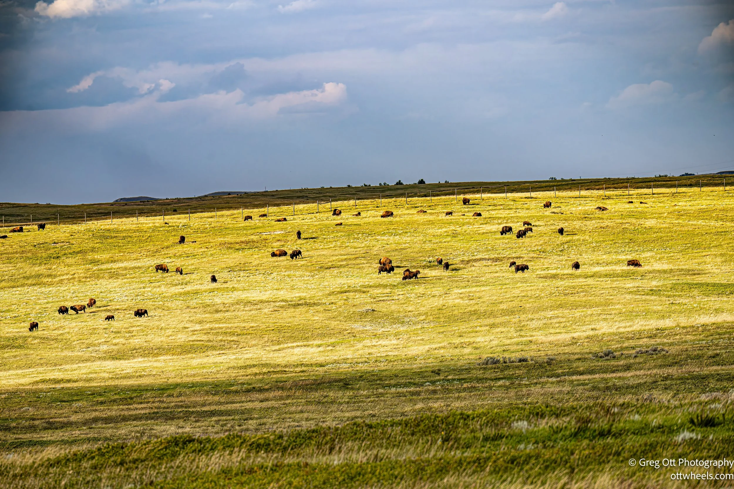 DSC_2460-Edit.jpg