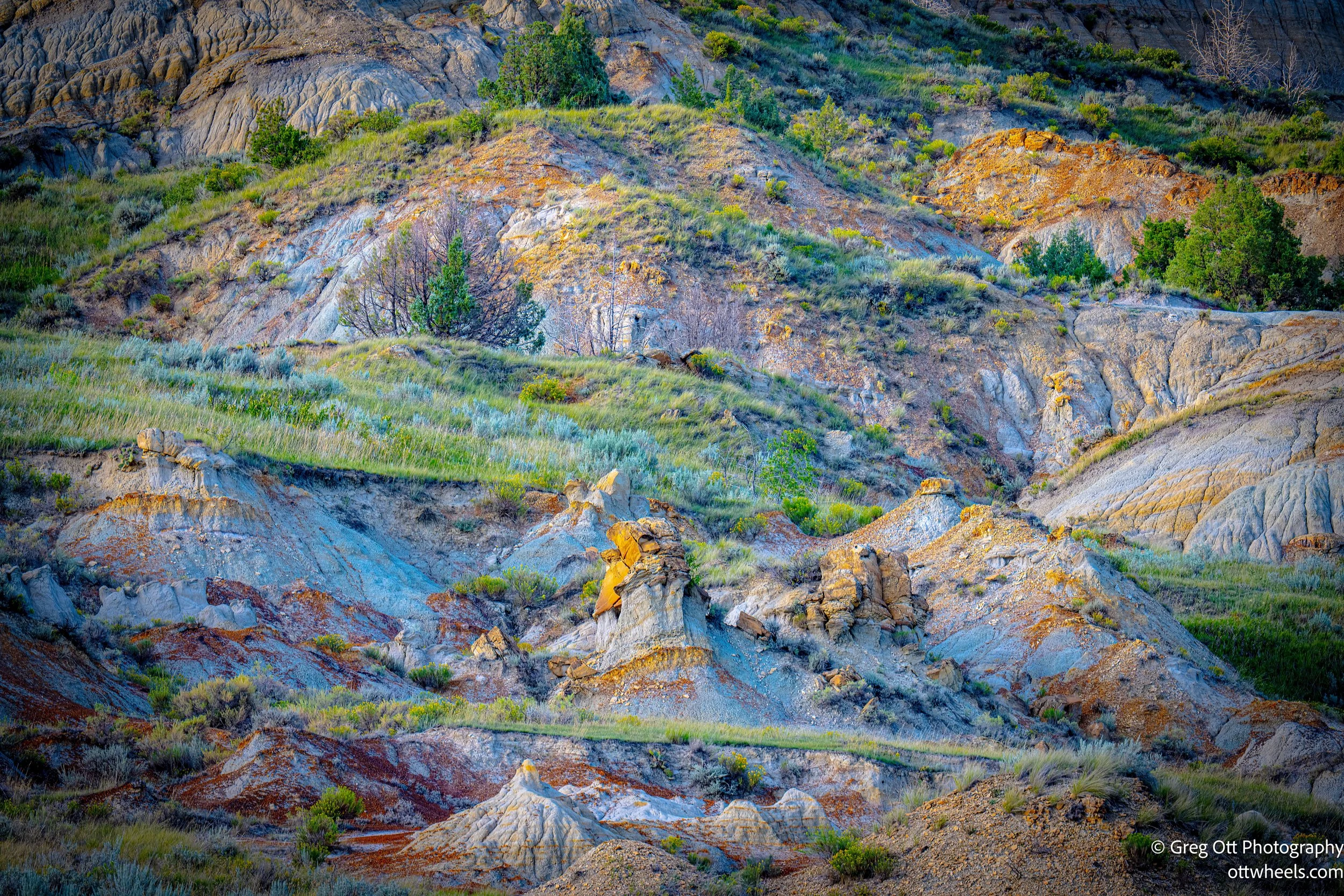 Theodore Roosevelt National Park (North Unit)