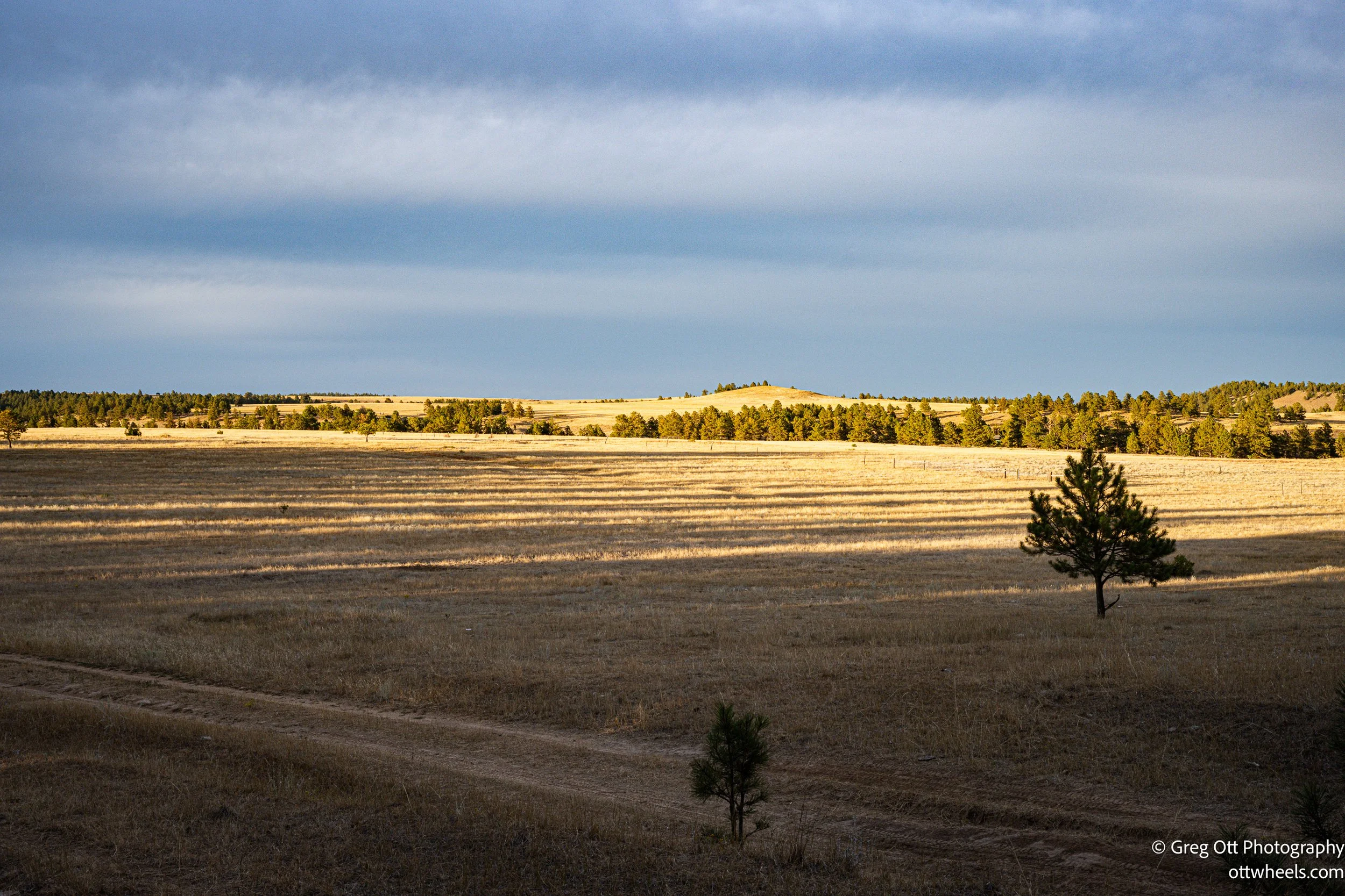 DSC_4369.jpg