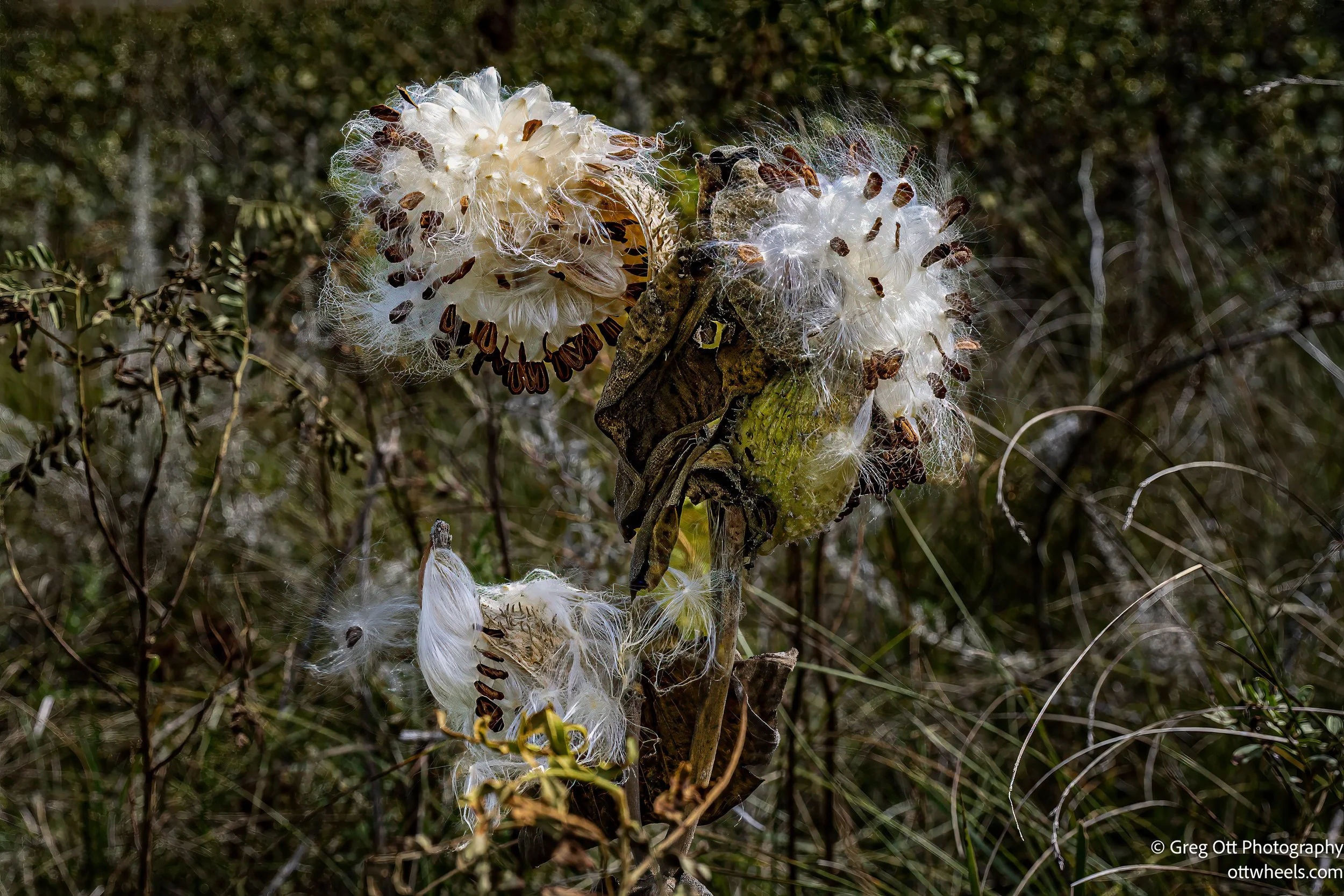 Crescent Lake National Wildlife Refuge