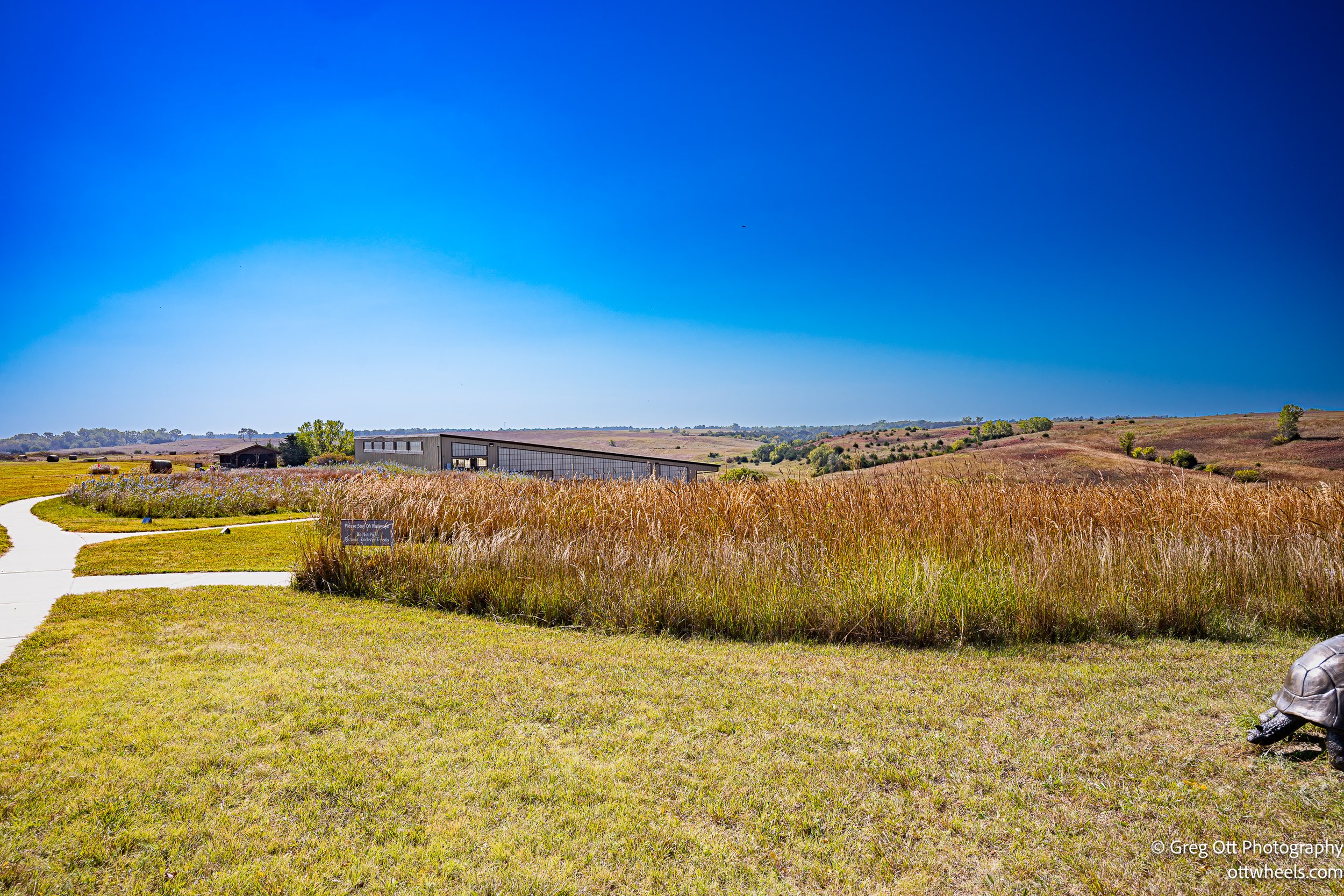 DSC_5022-Edit.jpg