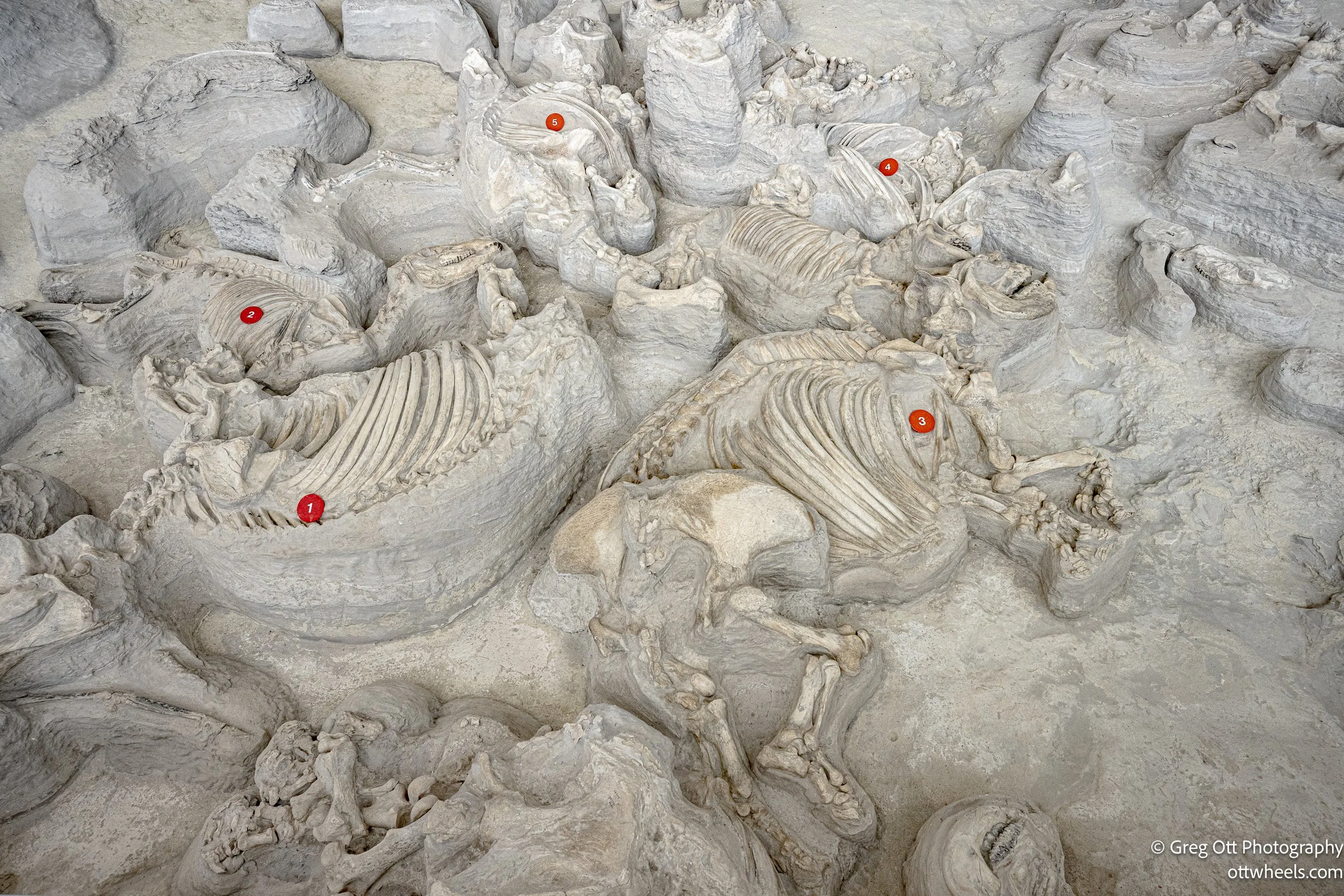 Ashfall Fossil Beds State Historical Park