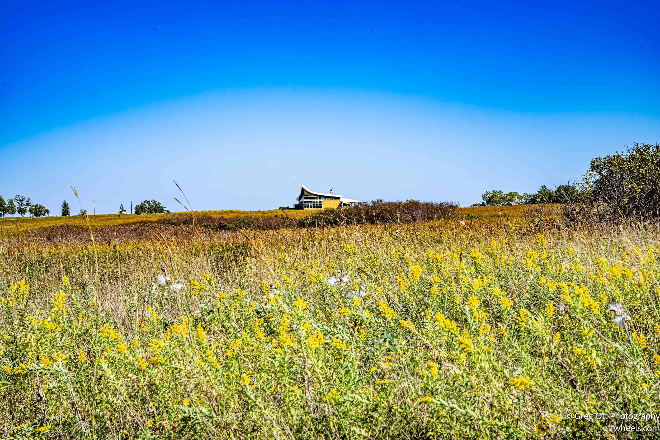 DSC_5209-Edit.jpg