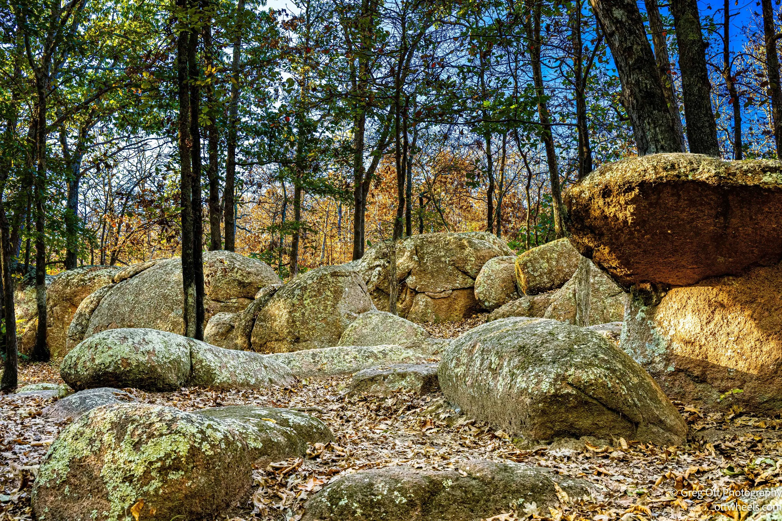 DSC_6051-Edit.jpg