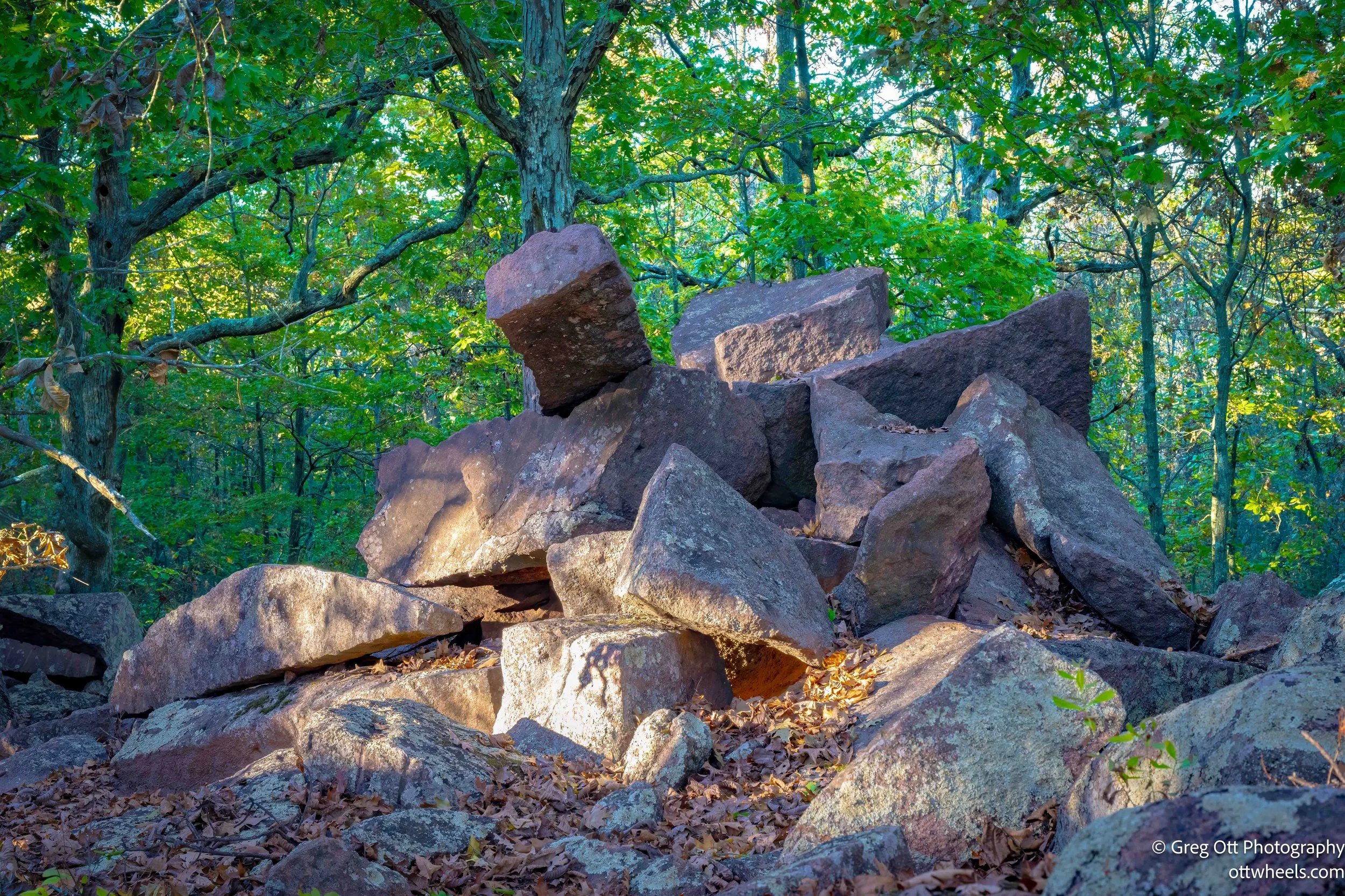DSC_6073-Edit.jpg