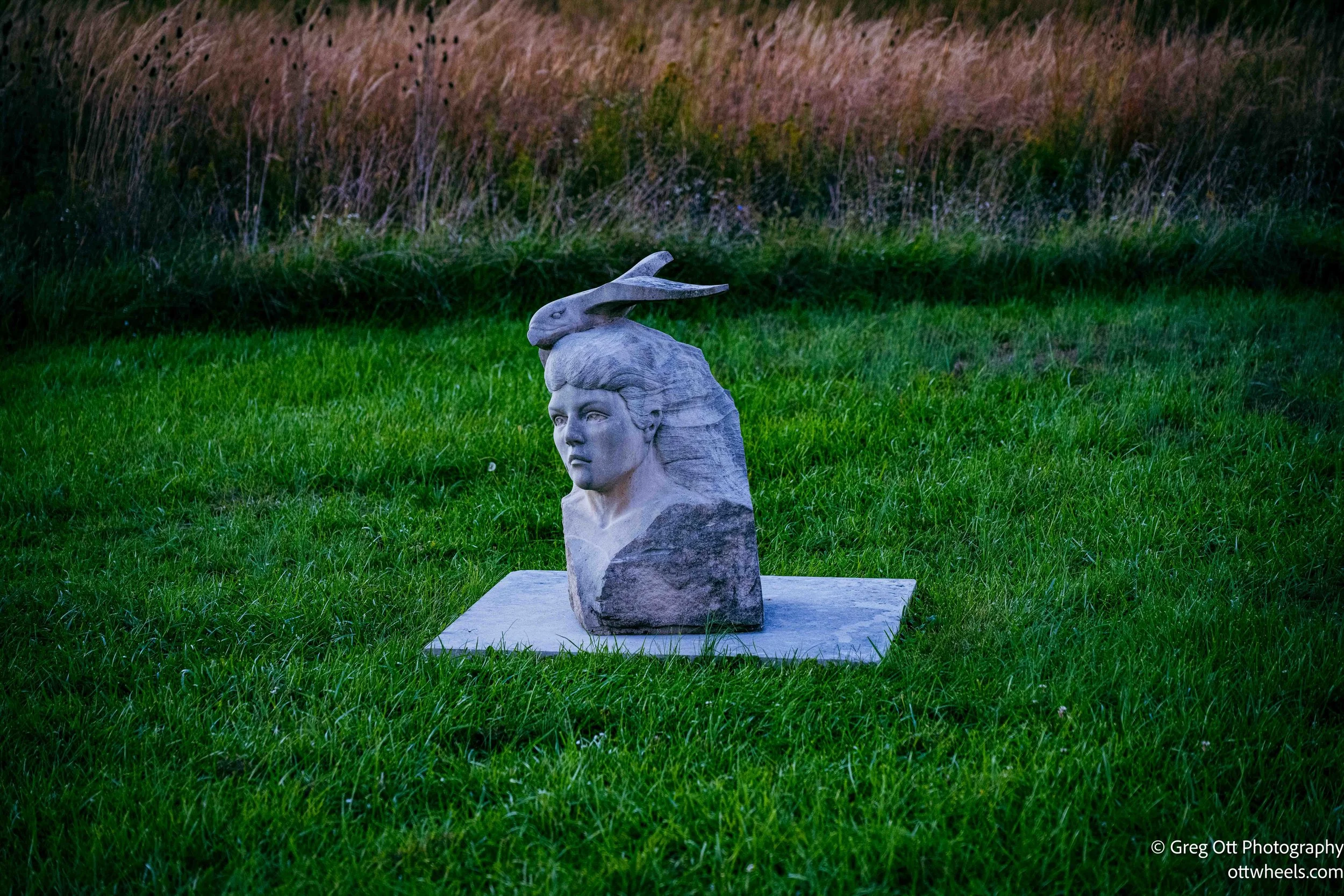 DSC_6731.jpg